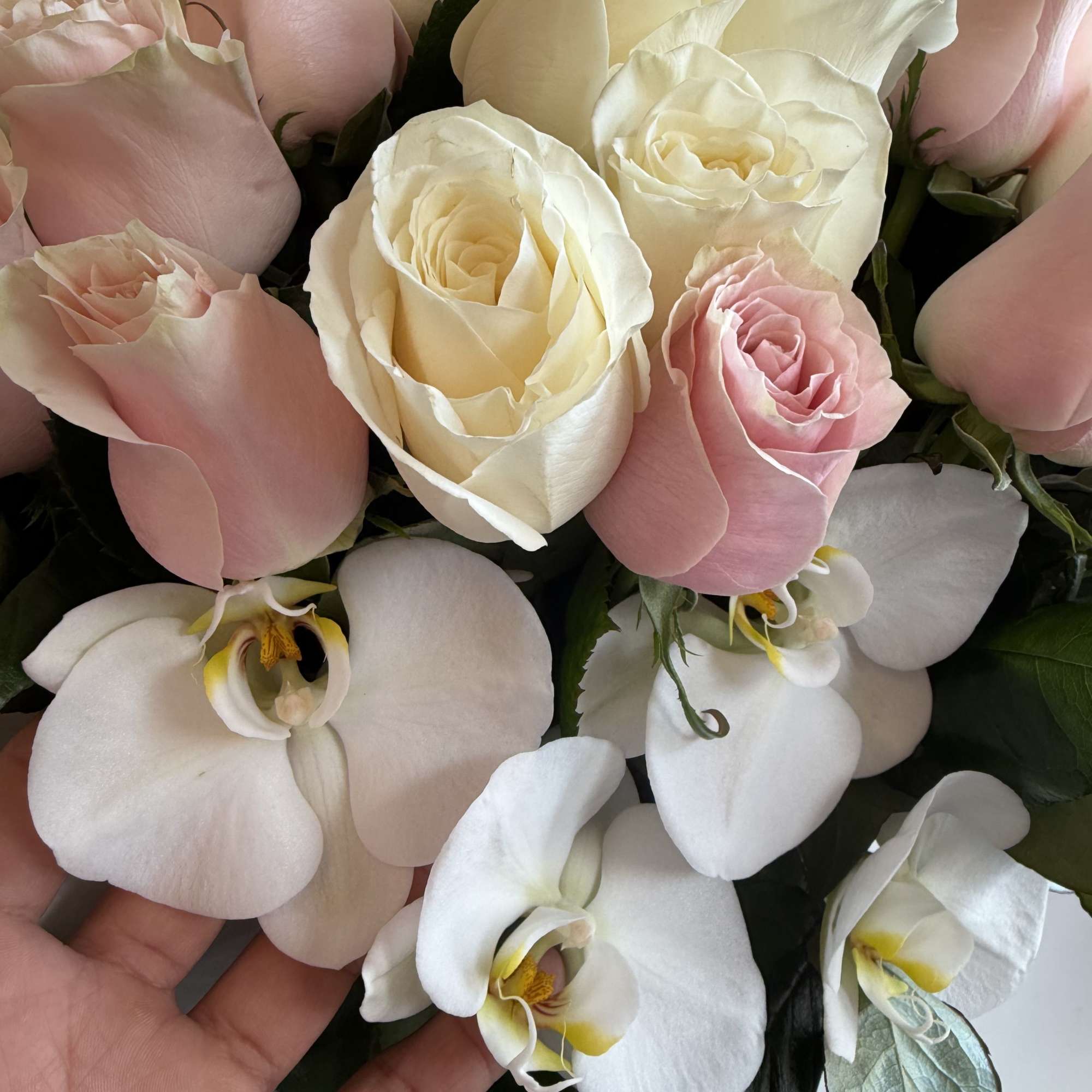 Luxury vase with a favorite touch of pink and white roses, perfectly