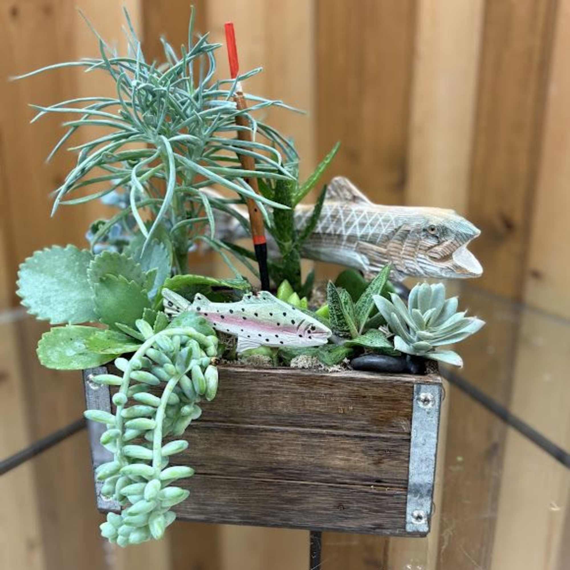 Fisherman's Succulent Garden designed at Haehn Florist in Wapakoneta