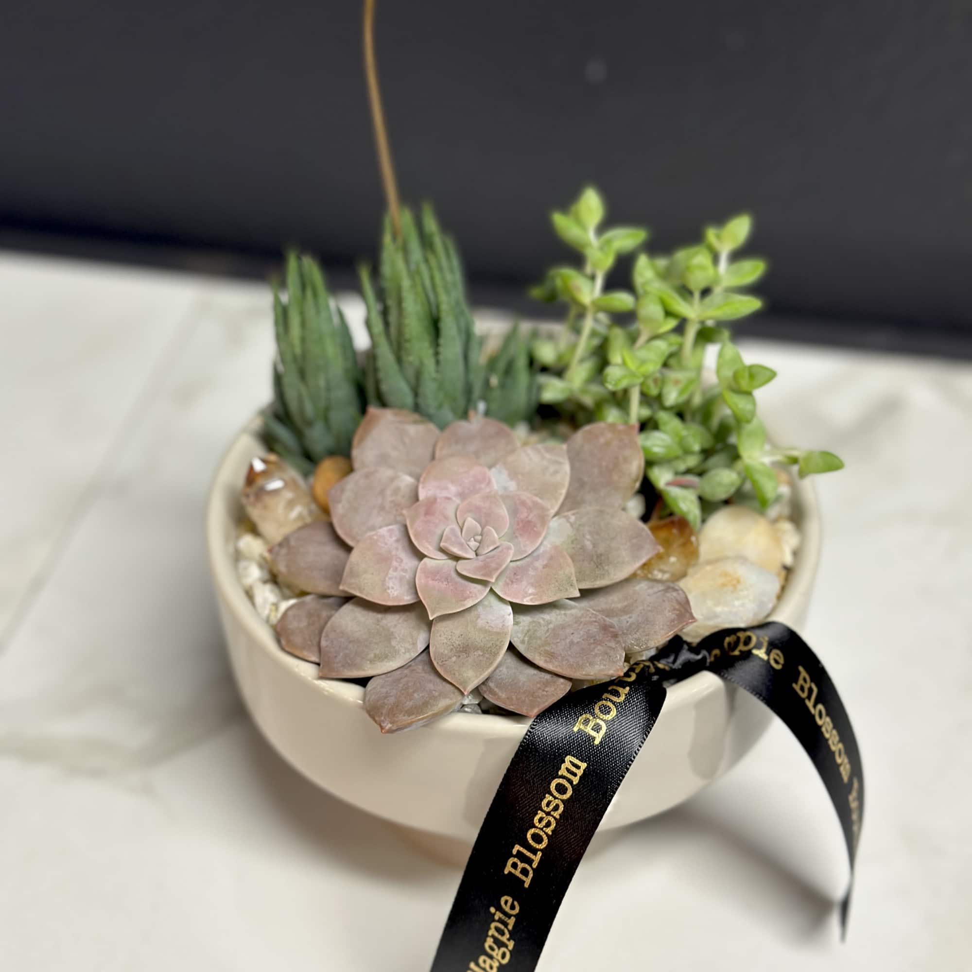 A petite succulent garden in a tan ceramic bowl. 
Dimensions: Approximately 6"