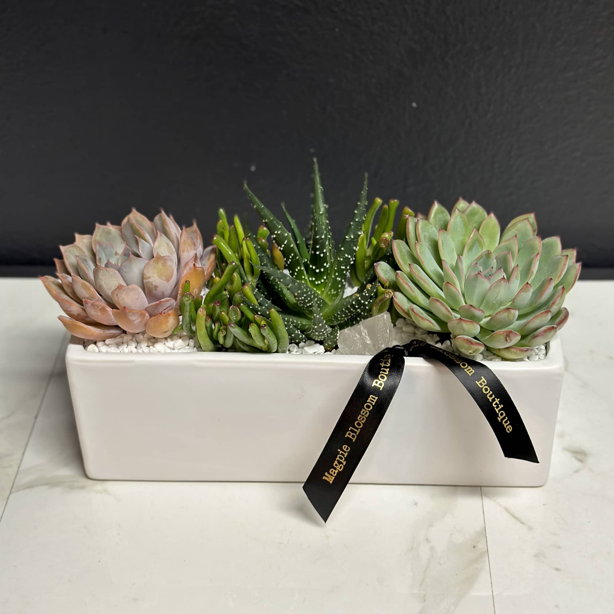 Add a touch of contemporary charm to any space with our Bianco