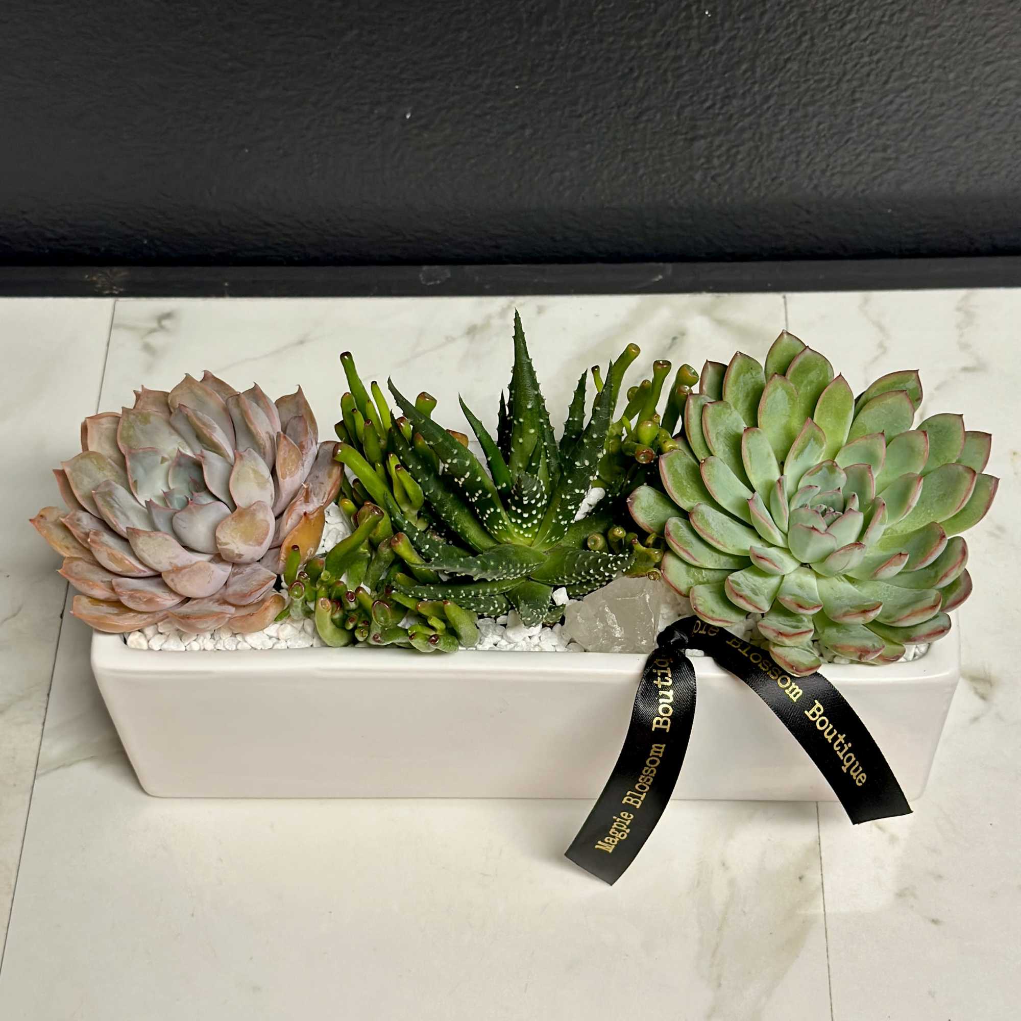 Add a touch of contemporary charm to any space with our Bianco