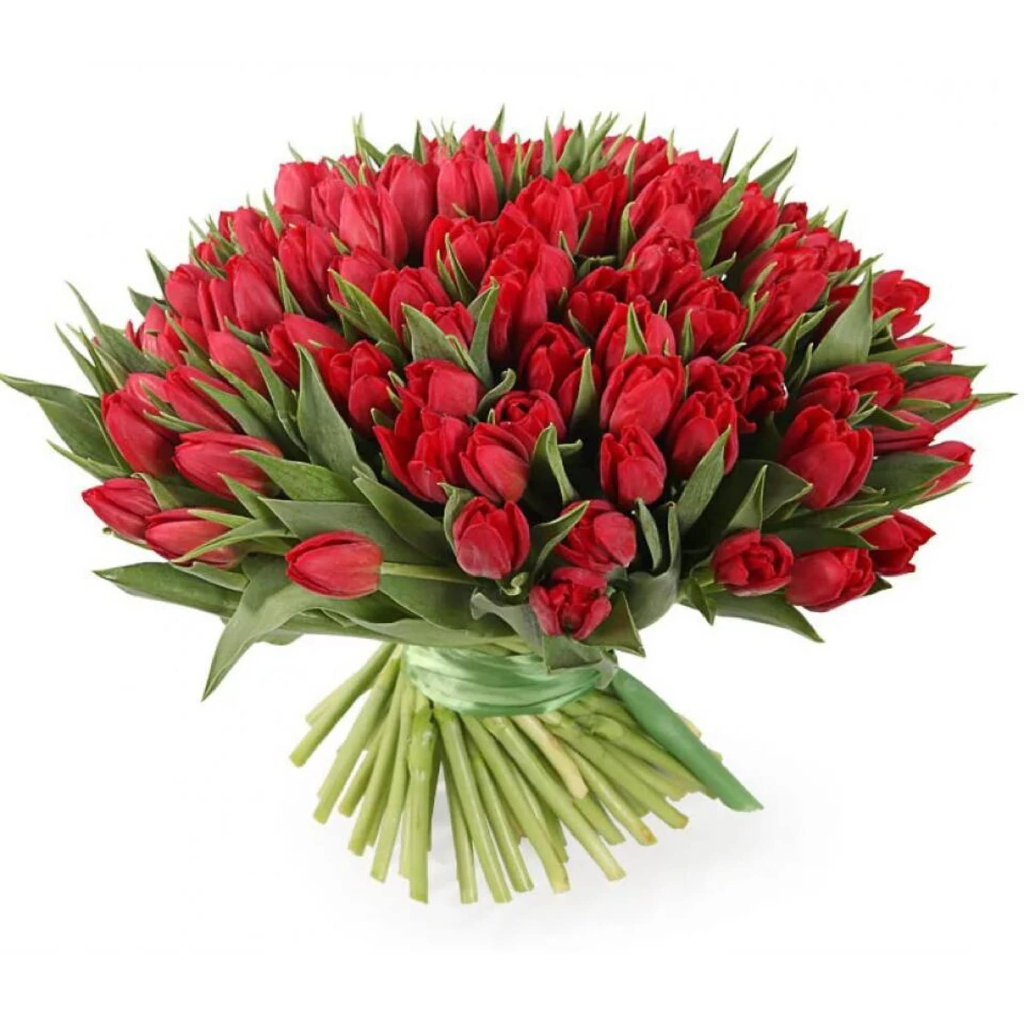 Large and very beautiful bouquet of tulips 101 PISES.