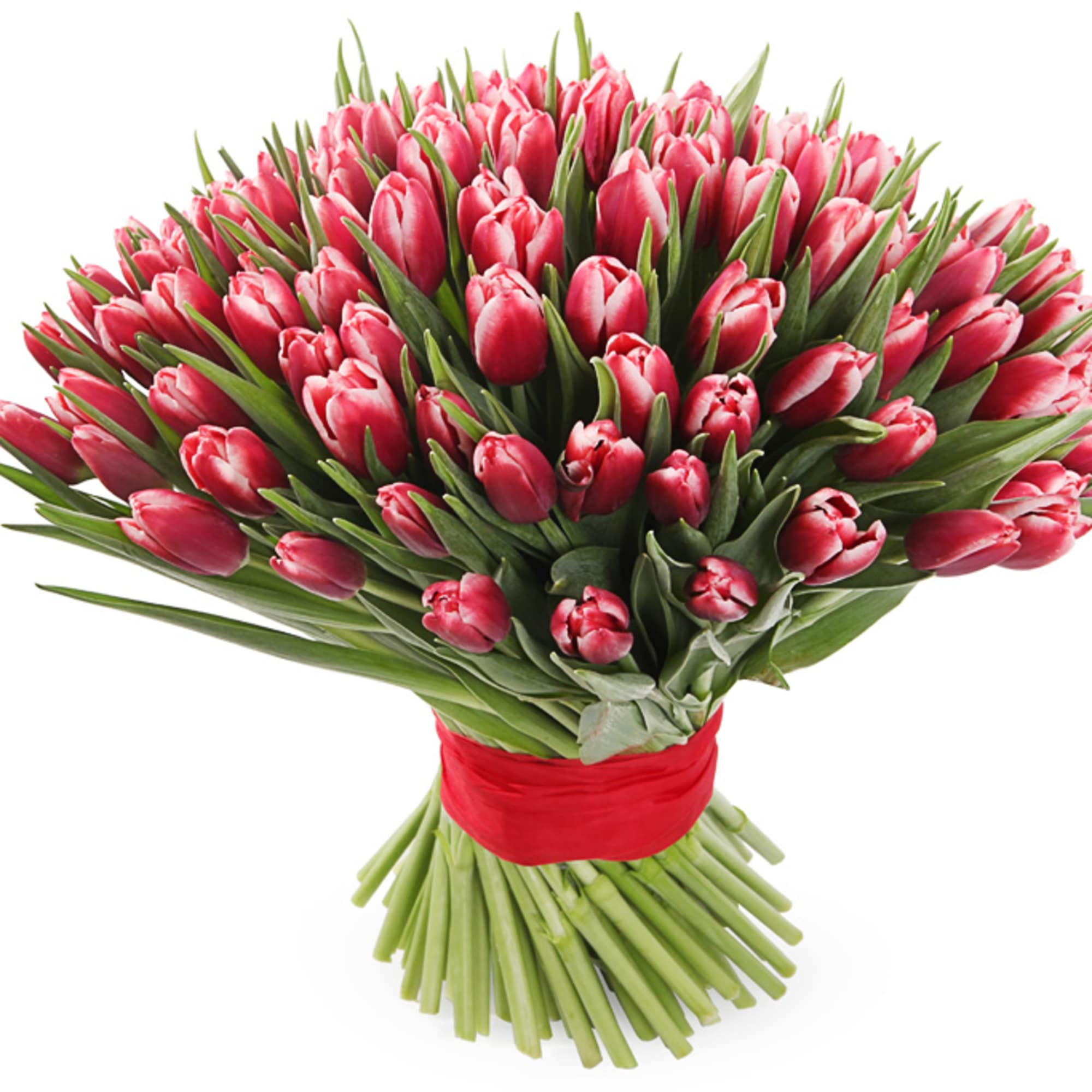 Large and very beautiful bouquet of tulips 101 PISES.