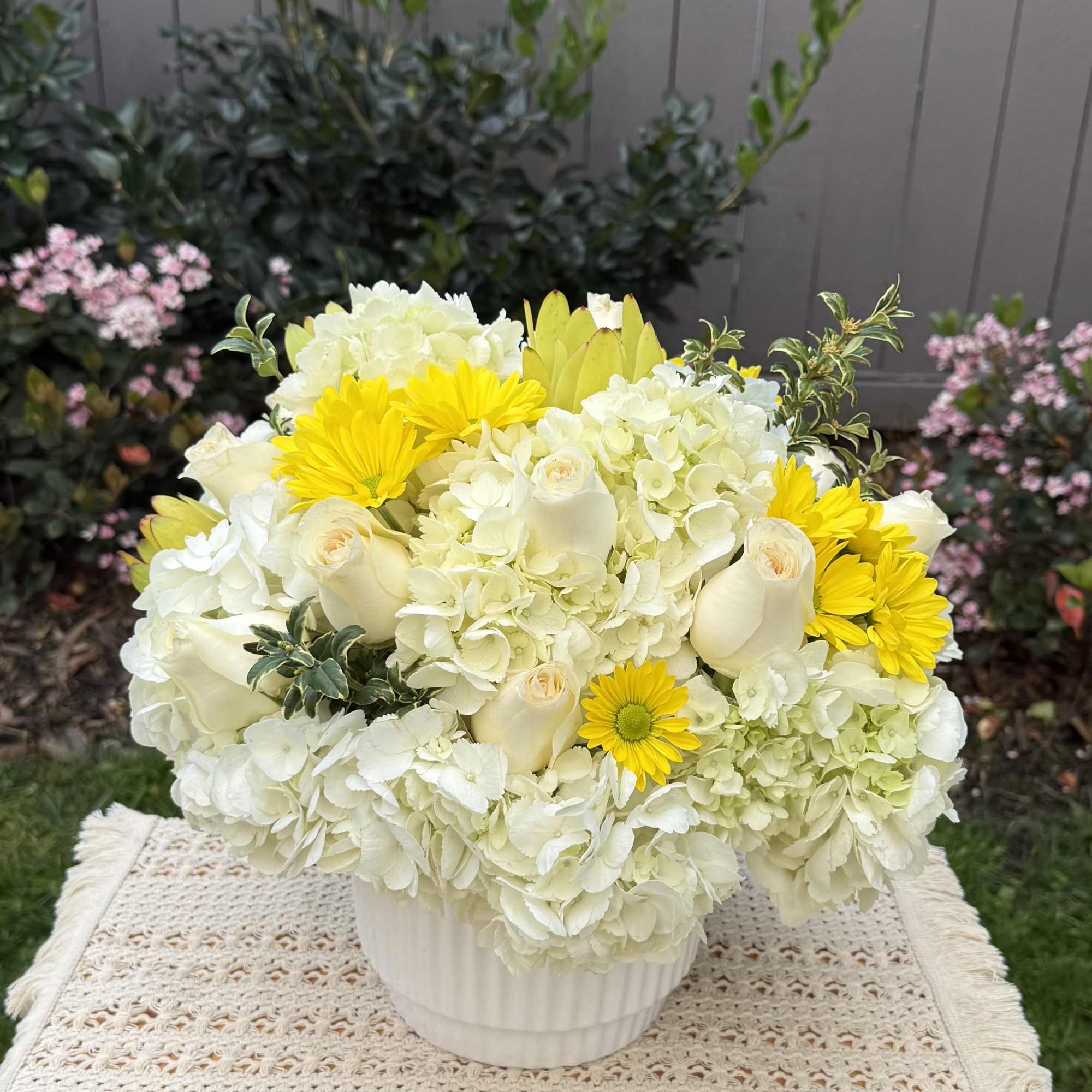 Beautiful sunny day, it is  the perfect name for this design