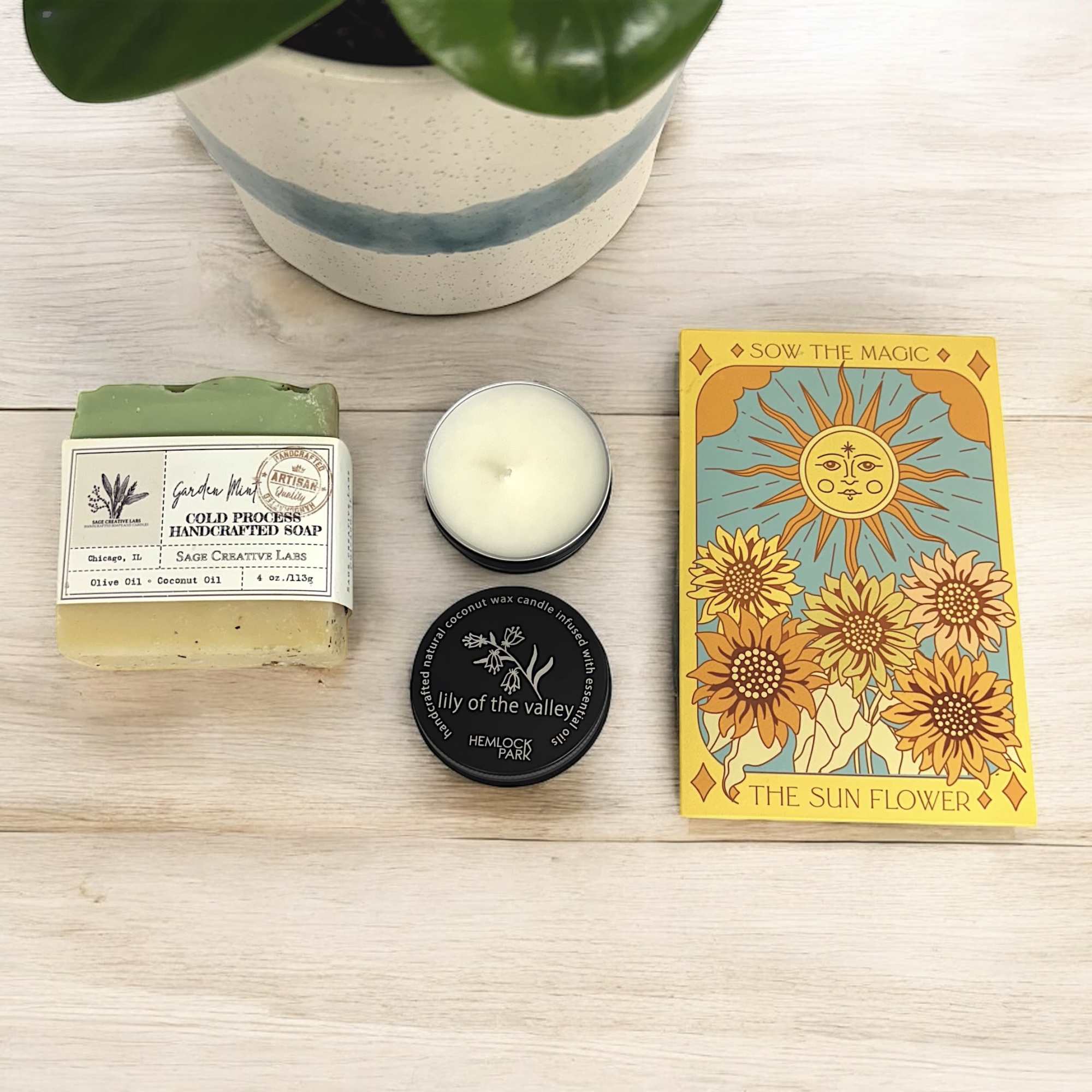 Do you or someone special you know have an excellent green thumb?