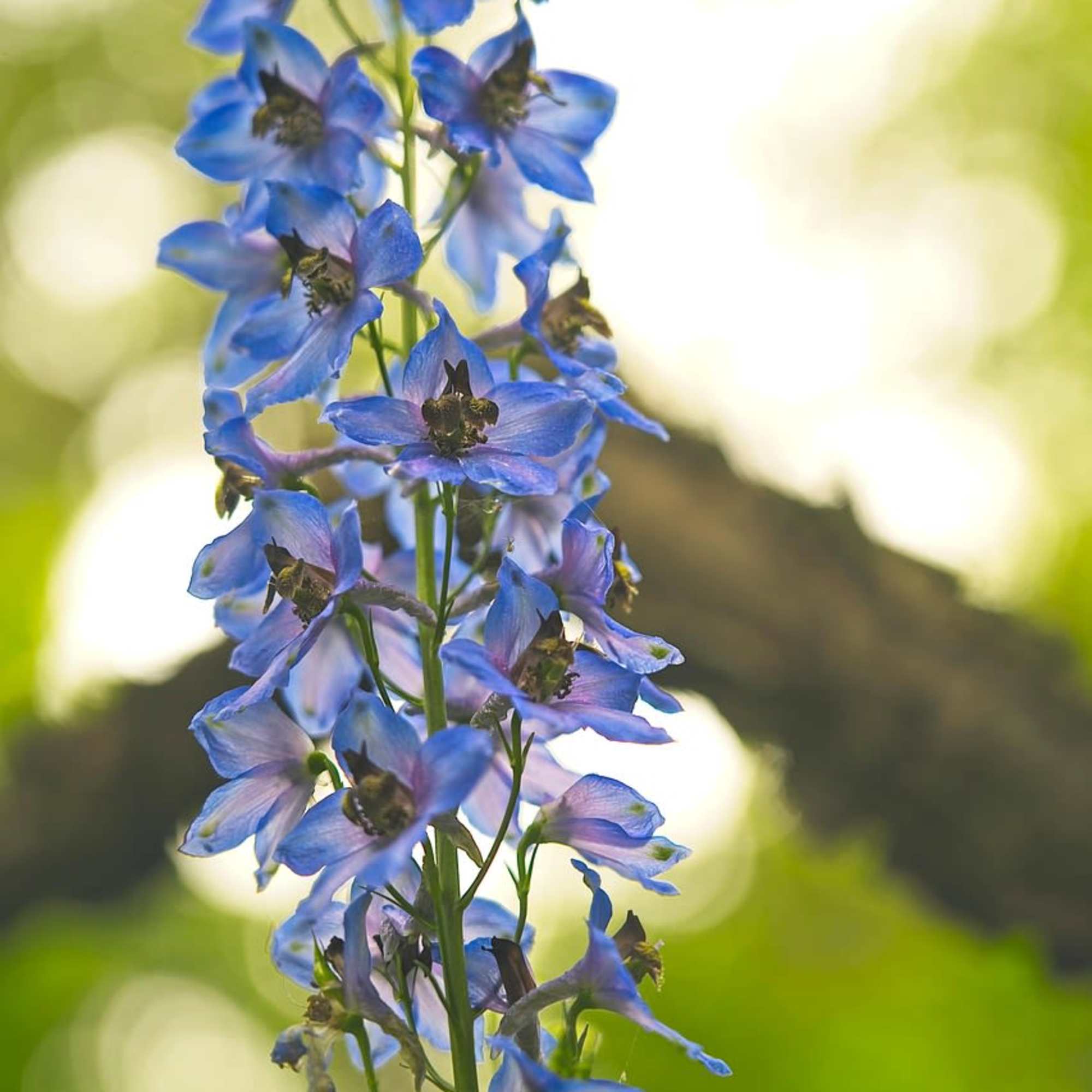 A set of 7 mini vase arrangements ready for your corporate event