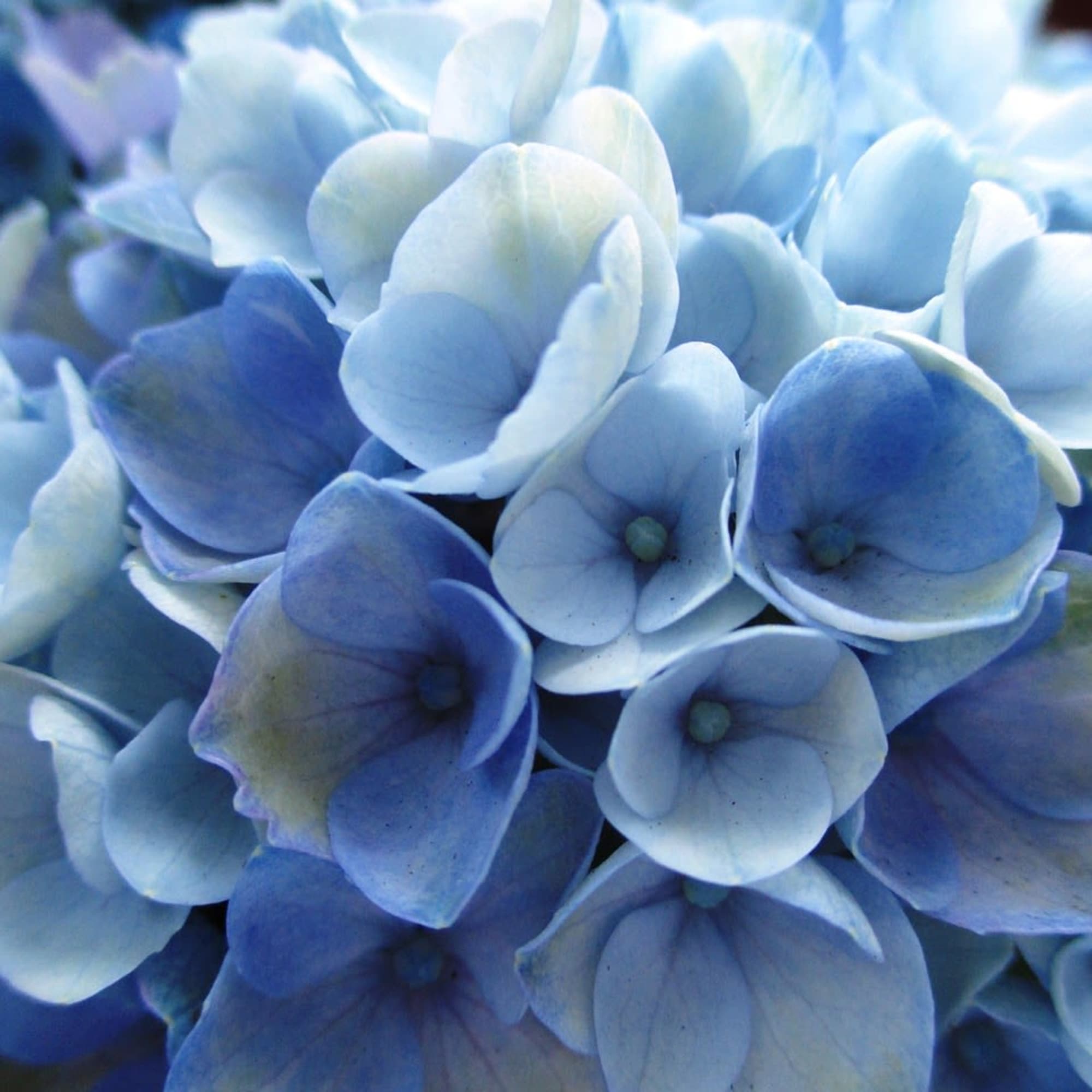 A set of 7 mini vase arrangements ready for your corporate event