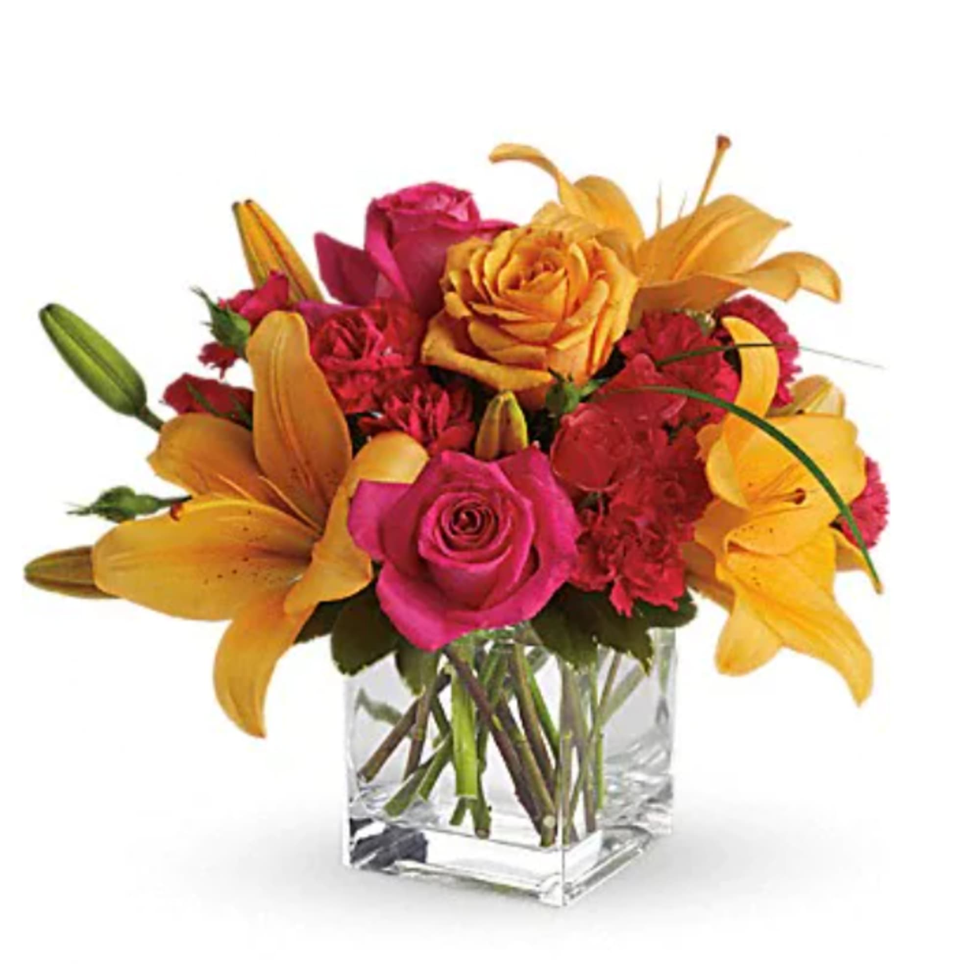 Uniquely beautiful and uniquely bright, this is a bona fide bombshell of