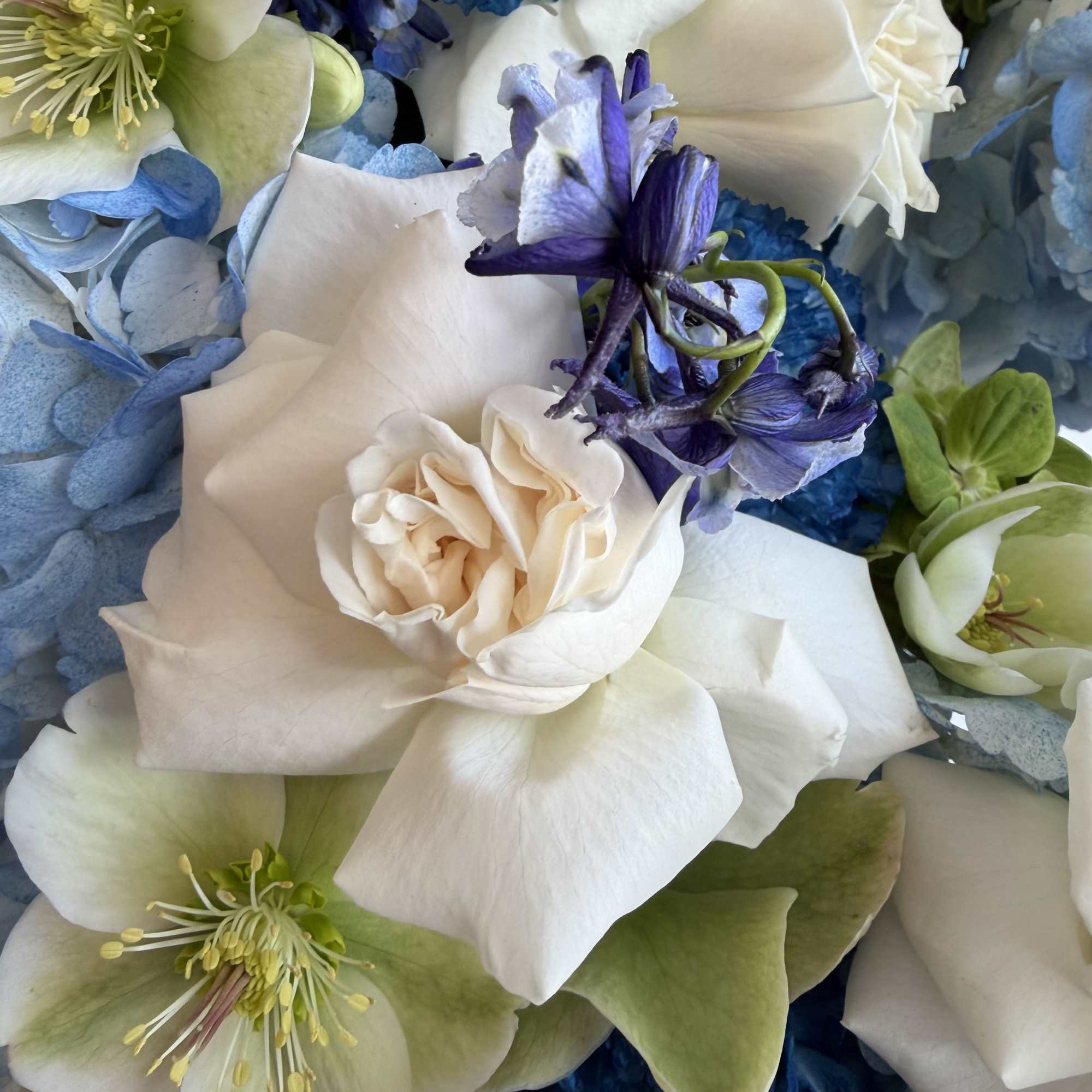 Close-up of an arrangement of white roses, blue hydrangeas, and purple delphinium