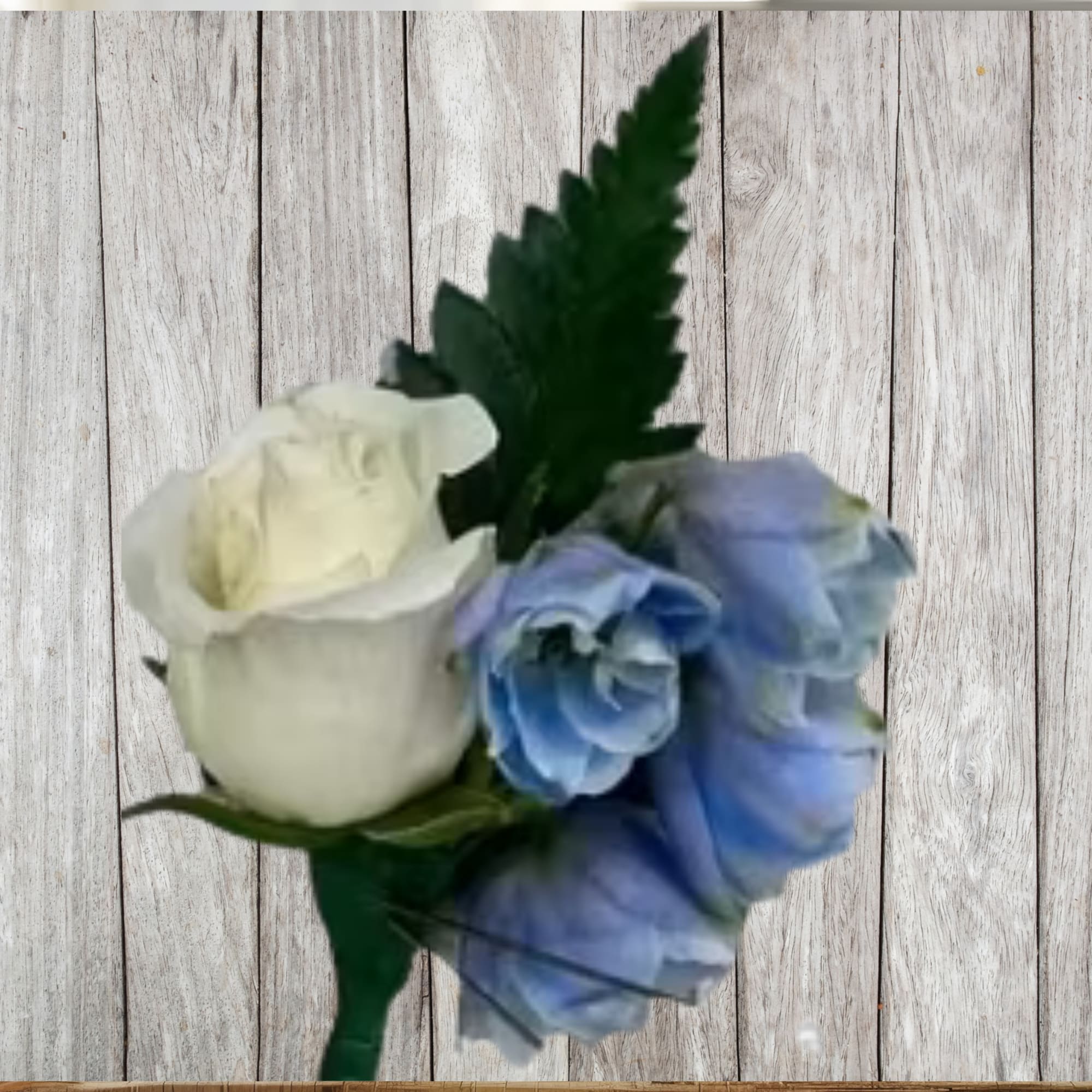 White and blue rose boutonniere with a dark green leaf