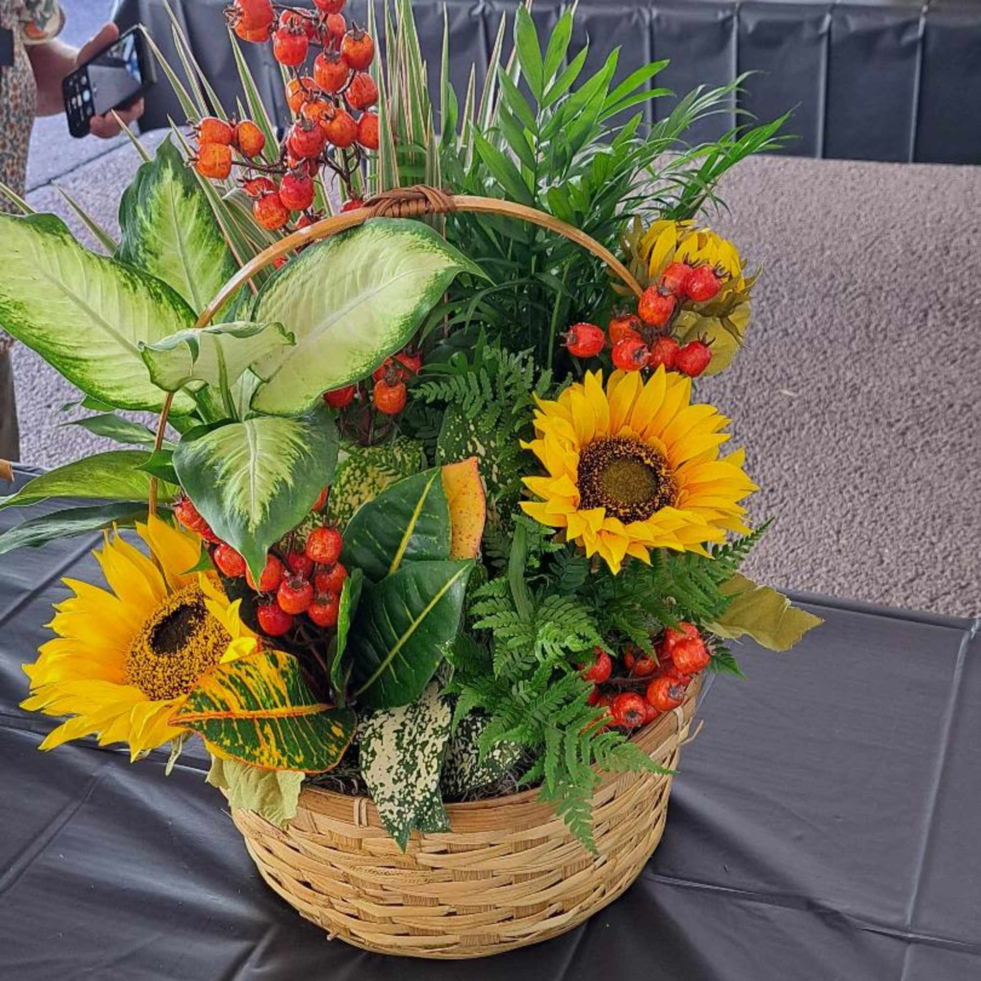 dishgarden with sunflowers in Barton, NY | Forever Floral
