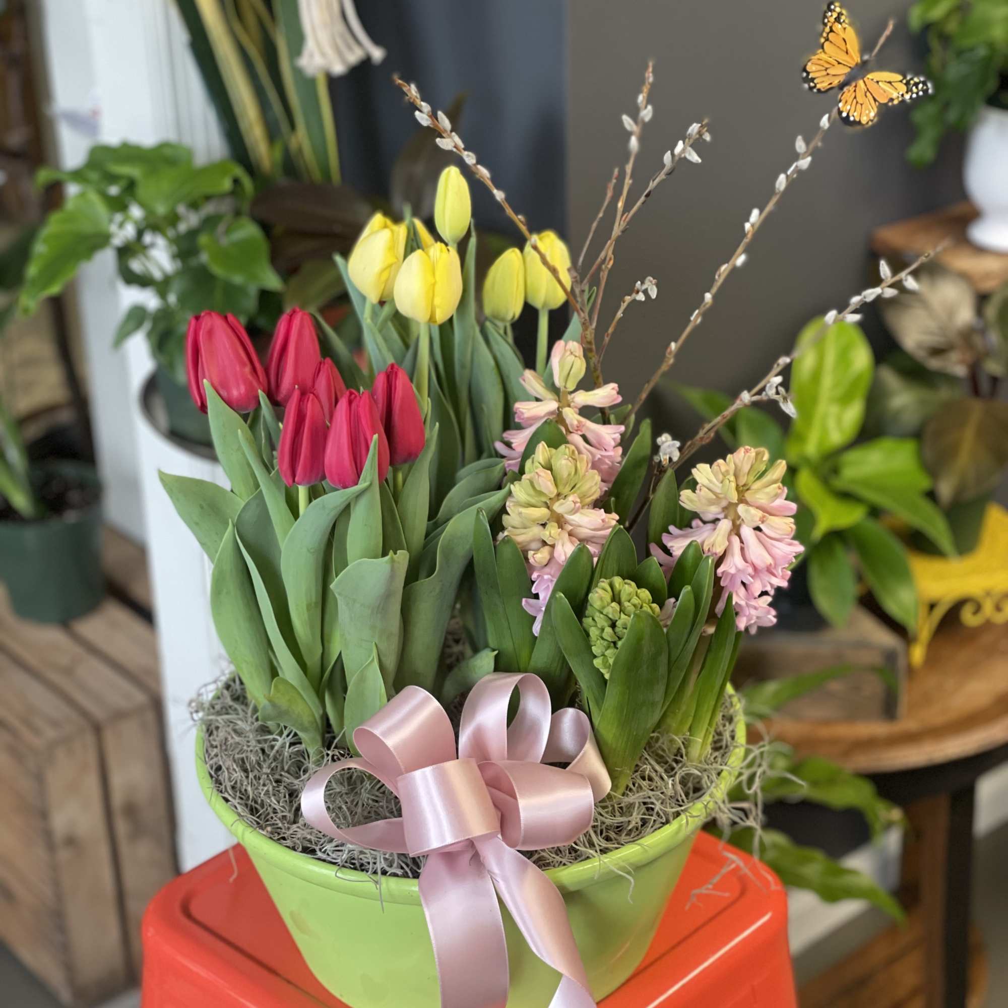 12" planter with three 6" blooming spring flowers - the perfect gift