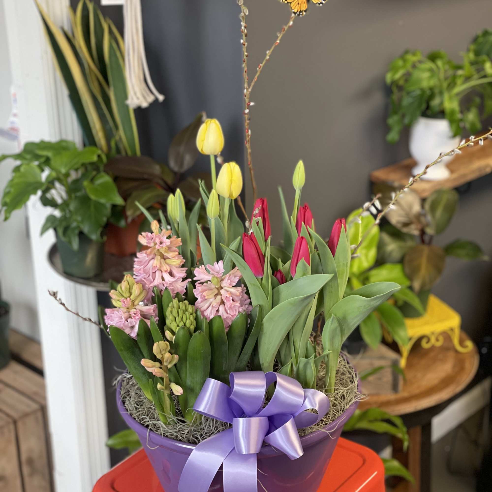 12" planter with three 6" blooming spring flowers - the perfect gift