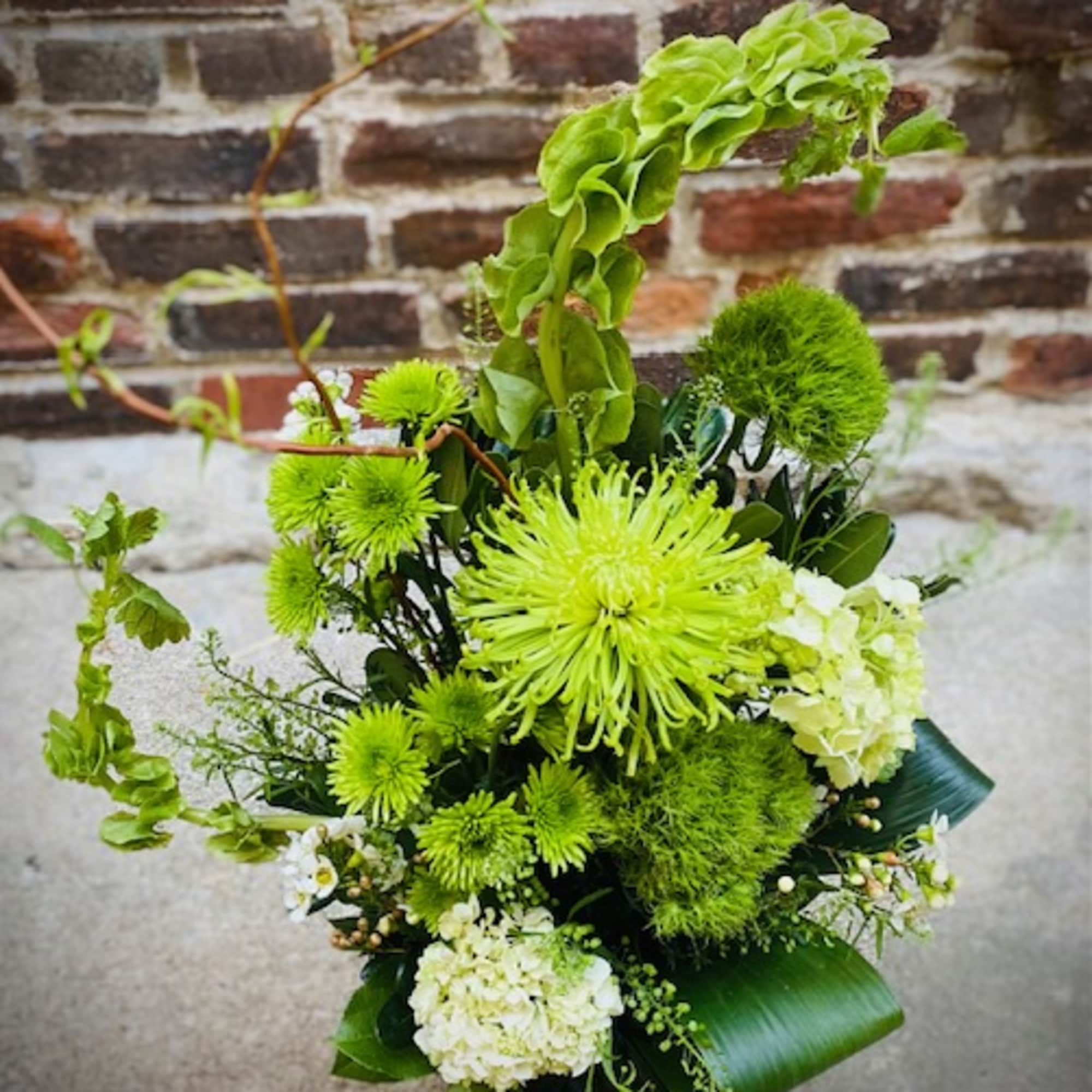 Celebrate Saint Patricks day and gift "Irish luck"with a unique design of