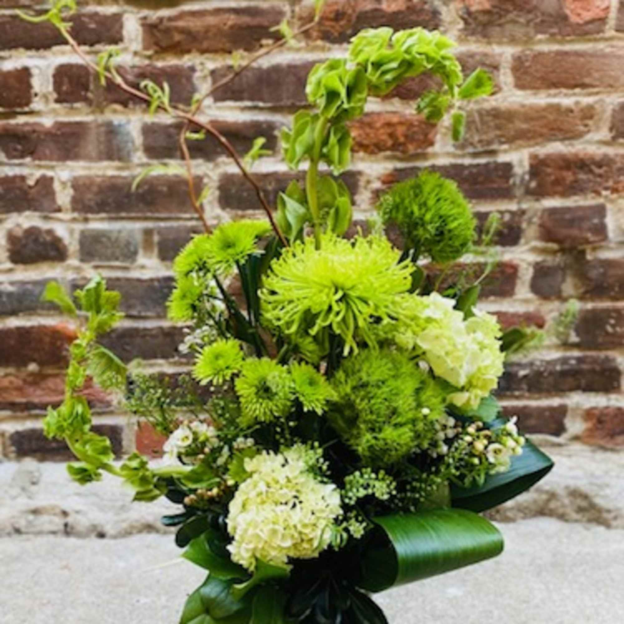 Celebrate Saint Patricks day and gift "Irish luck"with a unique design of