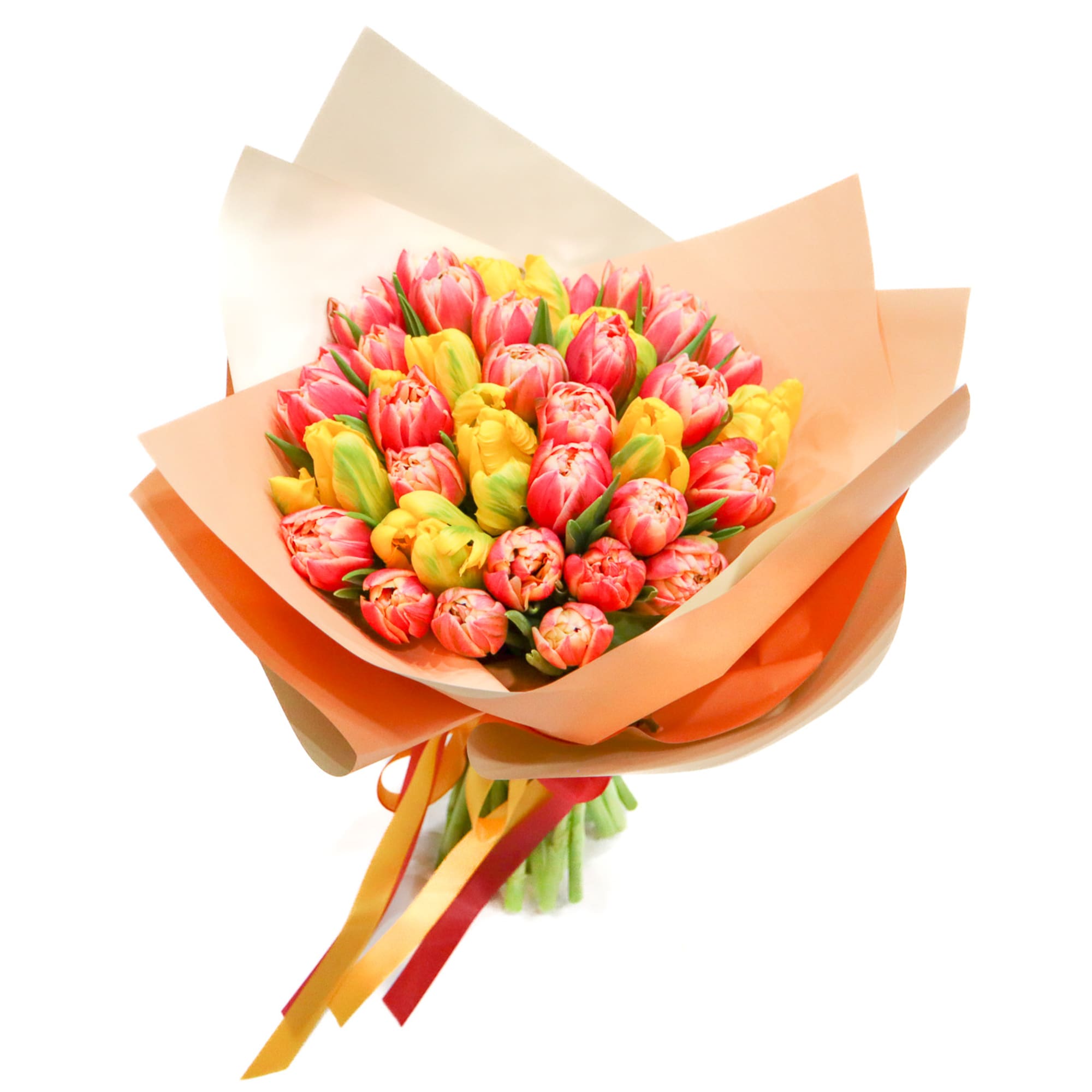 3 Dozen seasonal tulips. 