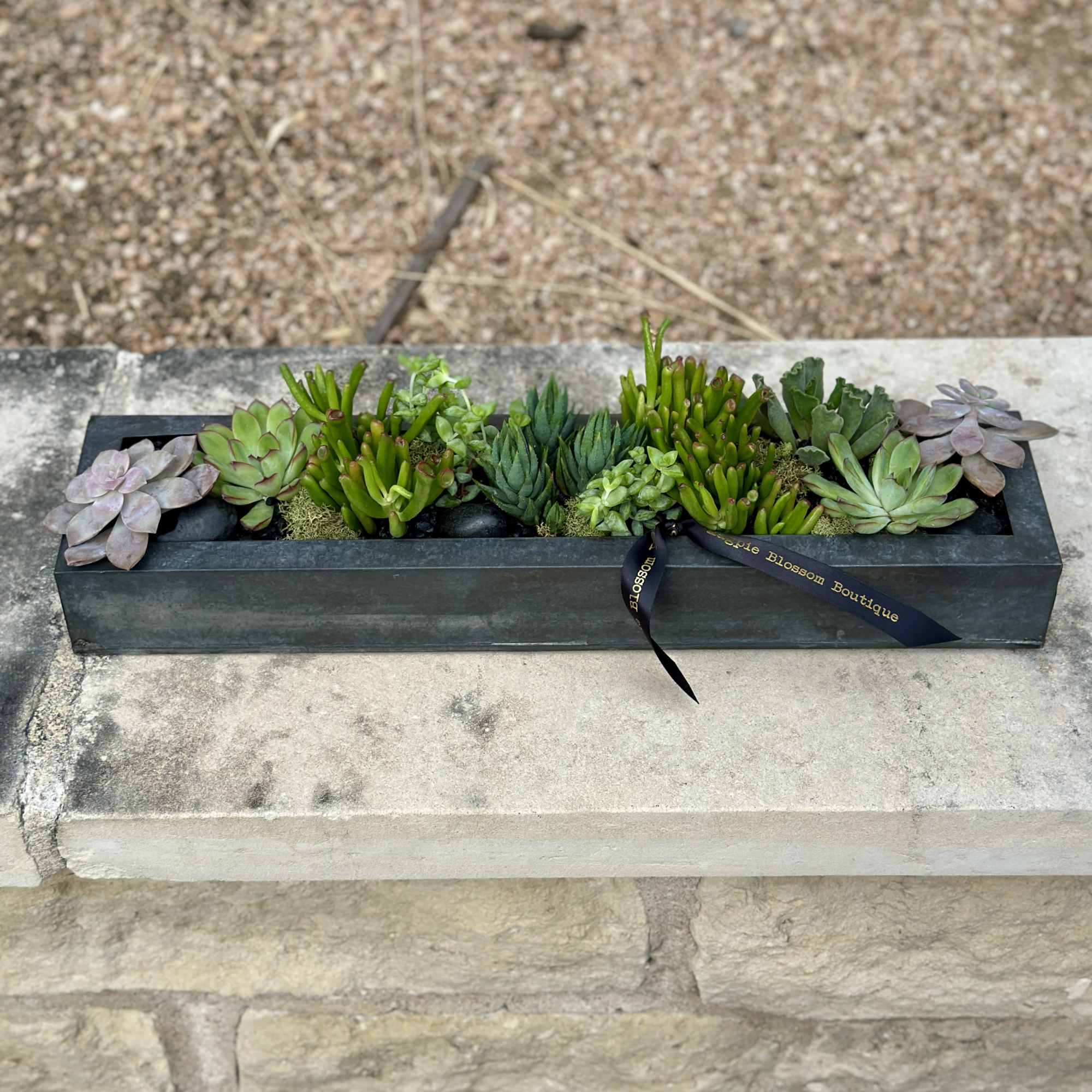 The Belvedere garden is a sleek metal rectangular vessel, adorned with a
