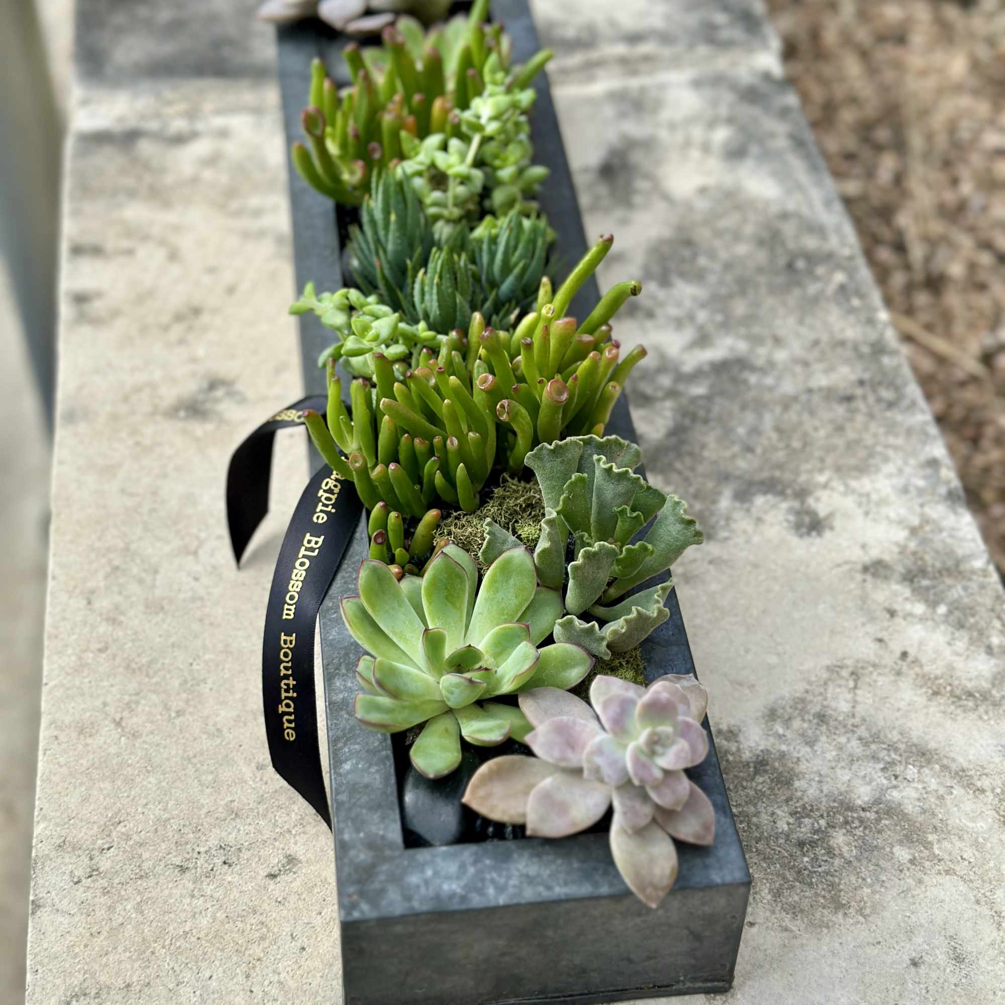 The Belvedere garden is a sleek metal rectangular vessel, adorned with a