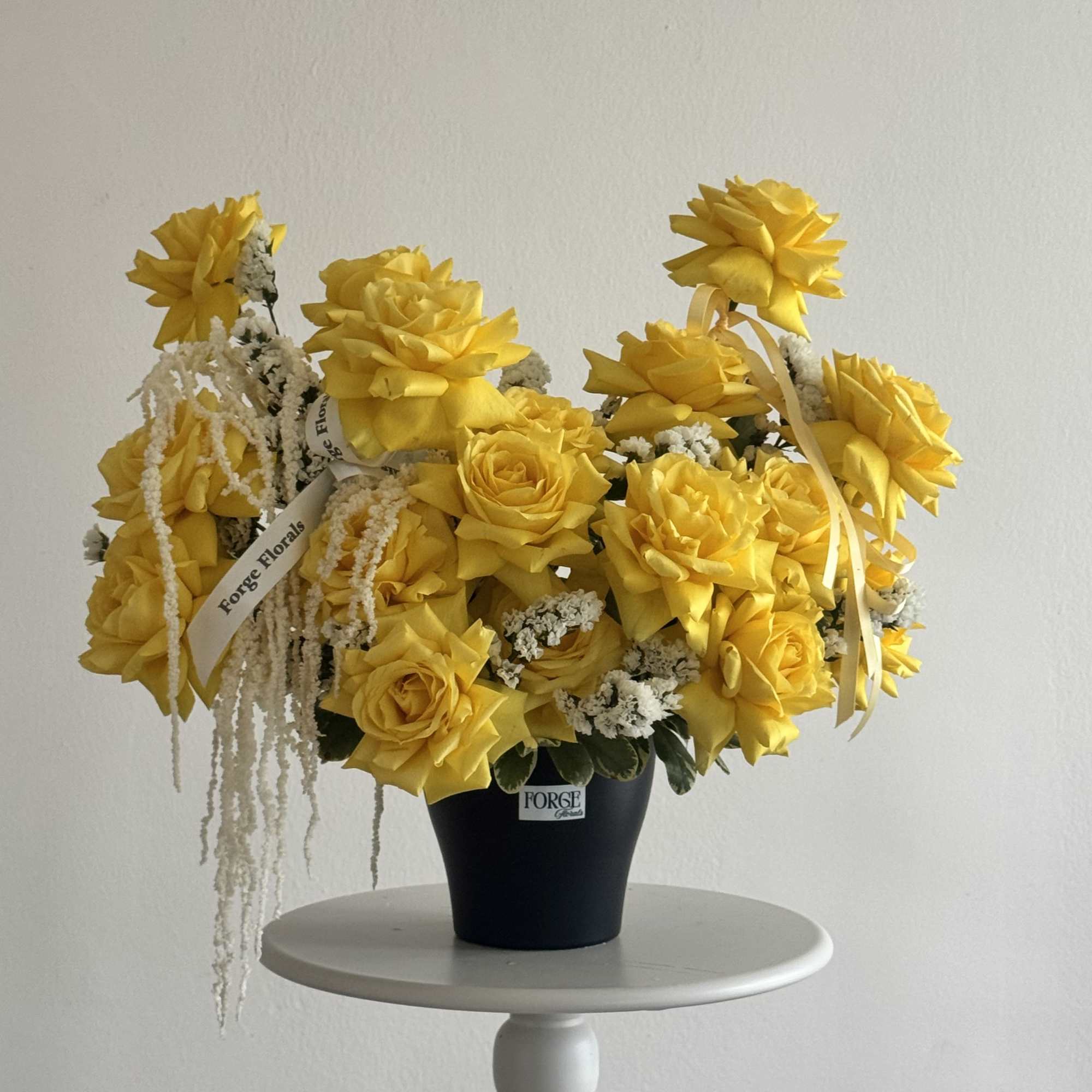 19 Yellow French rose with beautiful amaranth 