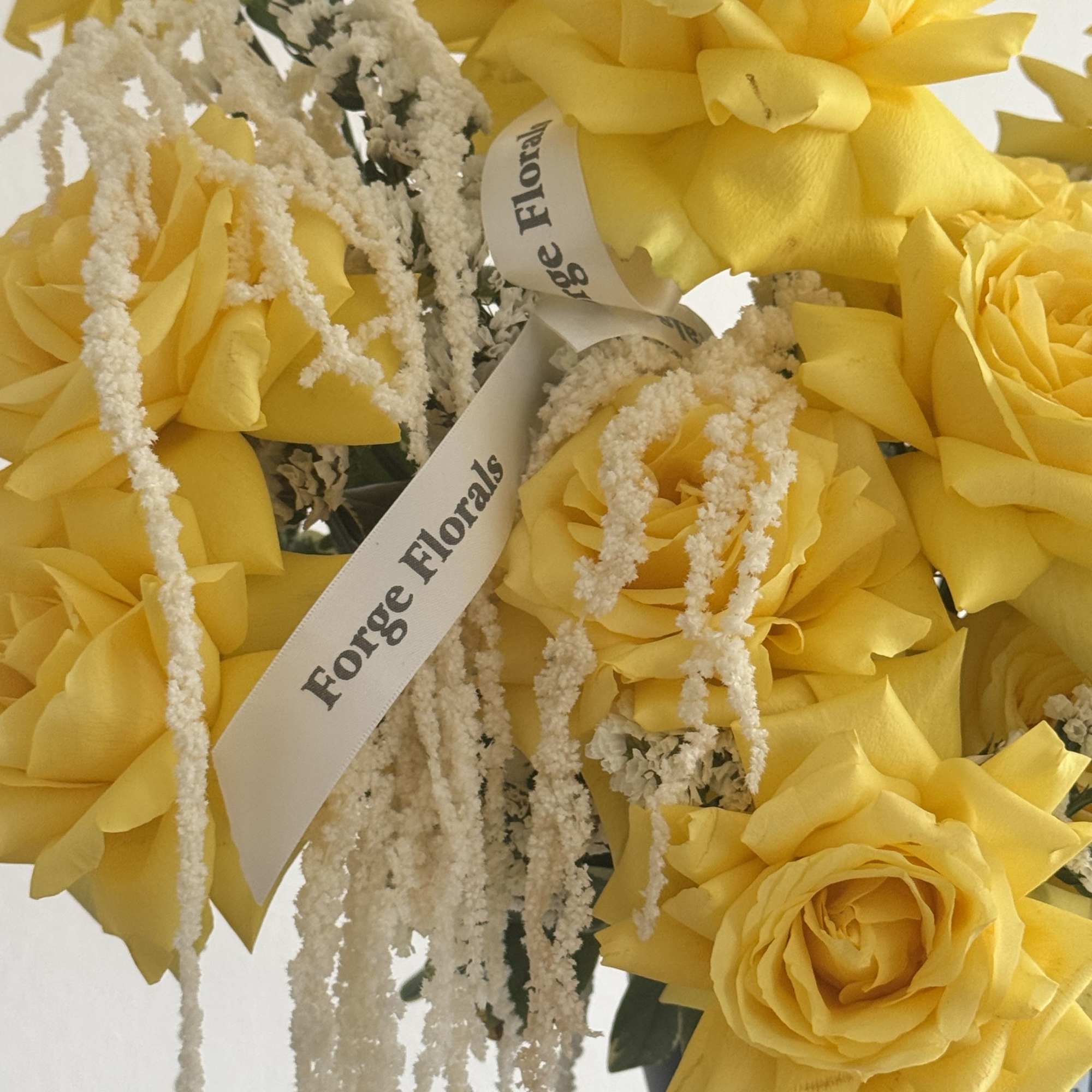 19 Yellow French rose with beautiful amaranth 