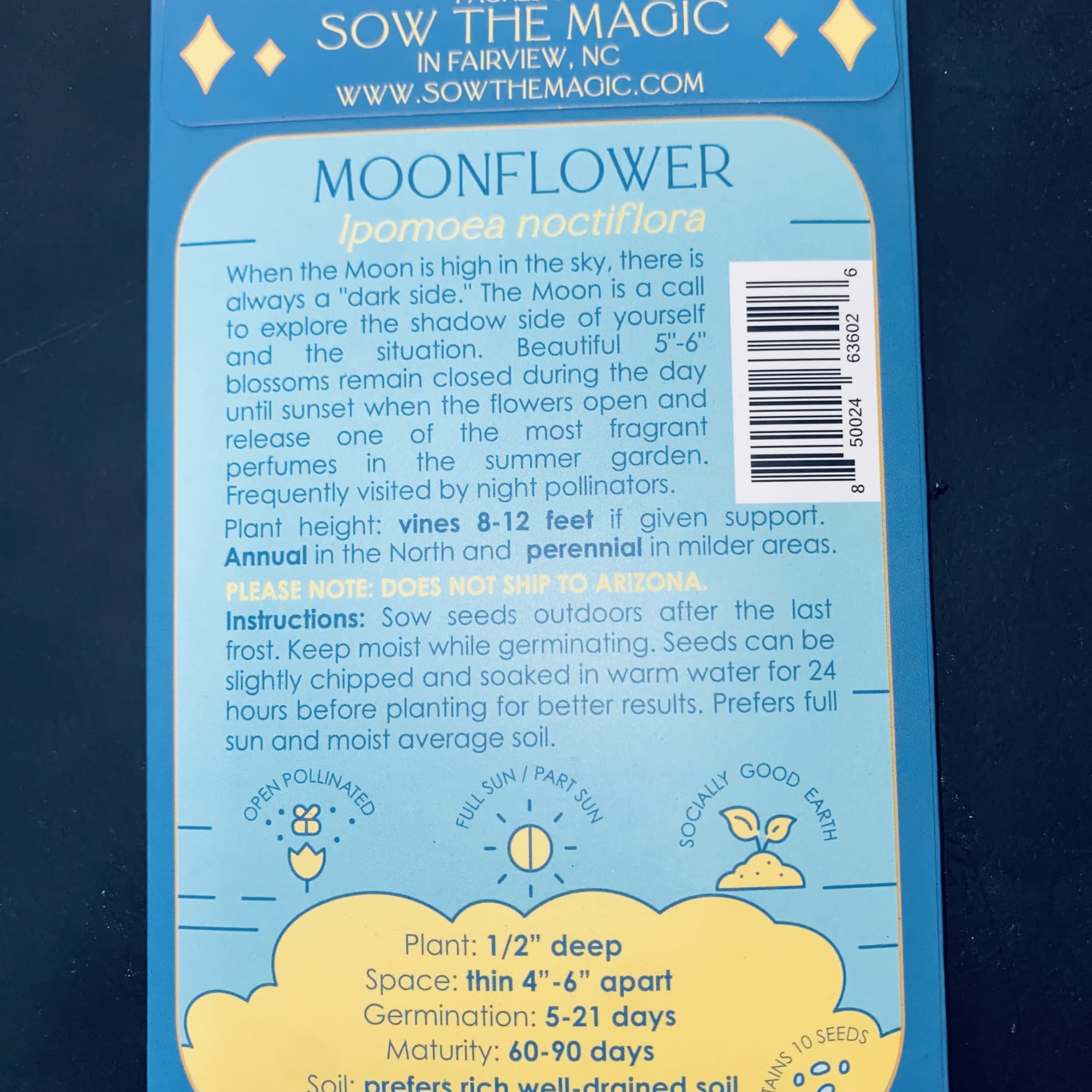 Beautiful 5"-6" blooms remain closed during the day and open at night