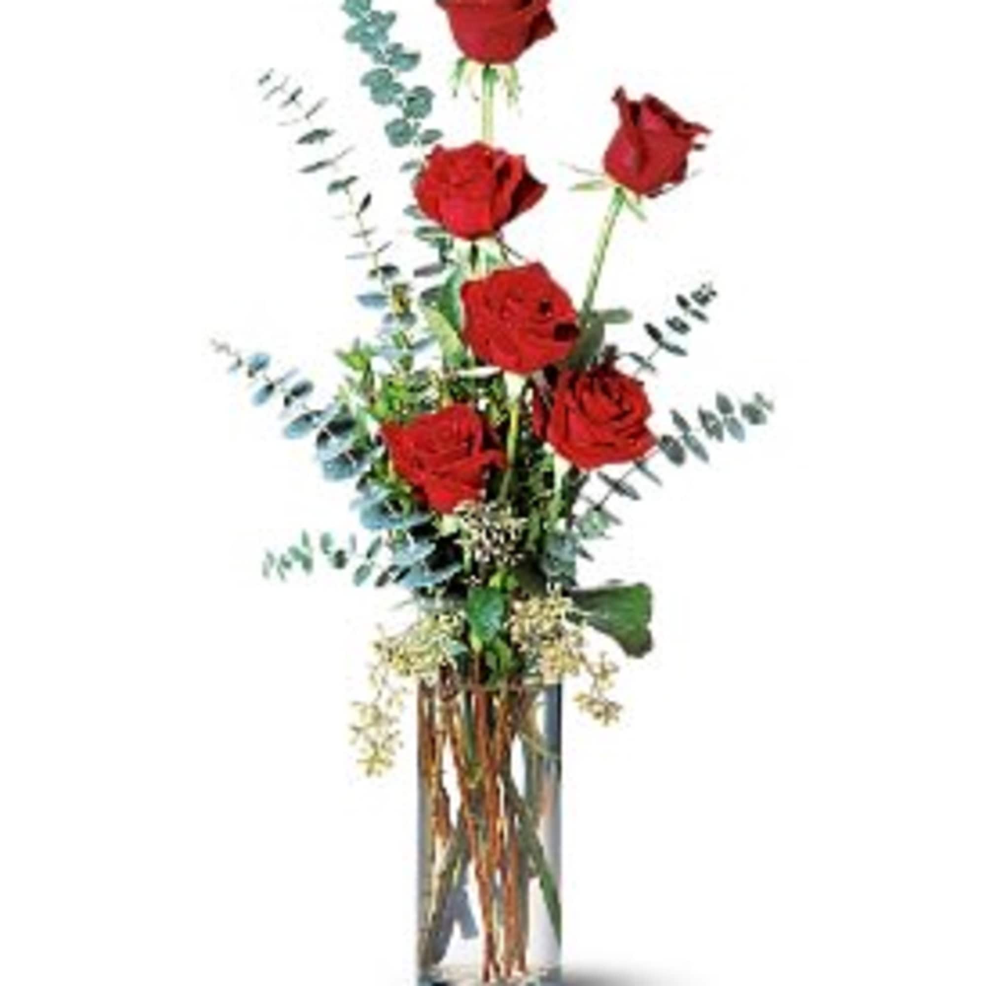 6 Roses arranged in a cylinder vase with Greens. The quantity of