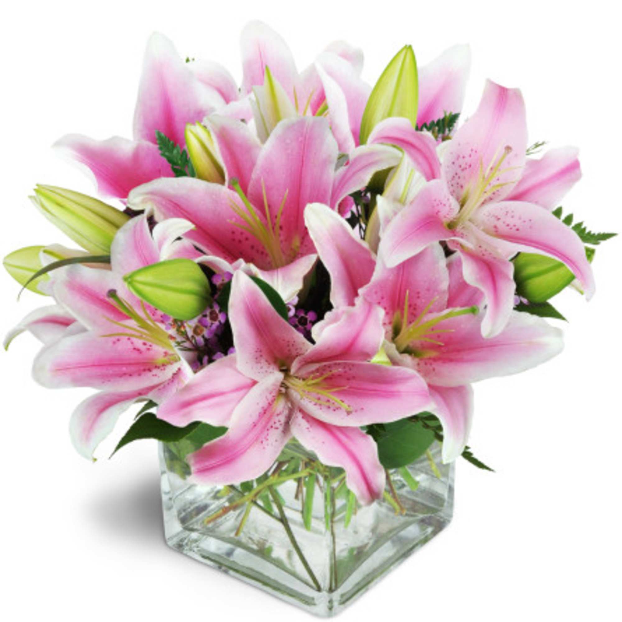 This dramatic design features Oriental lilies.
" Ooh-la-la!