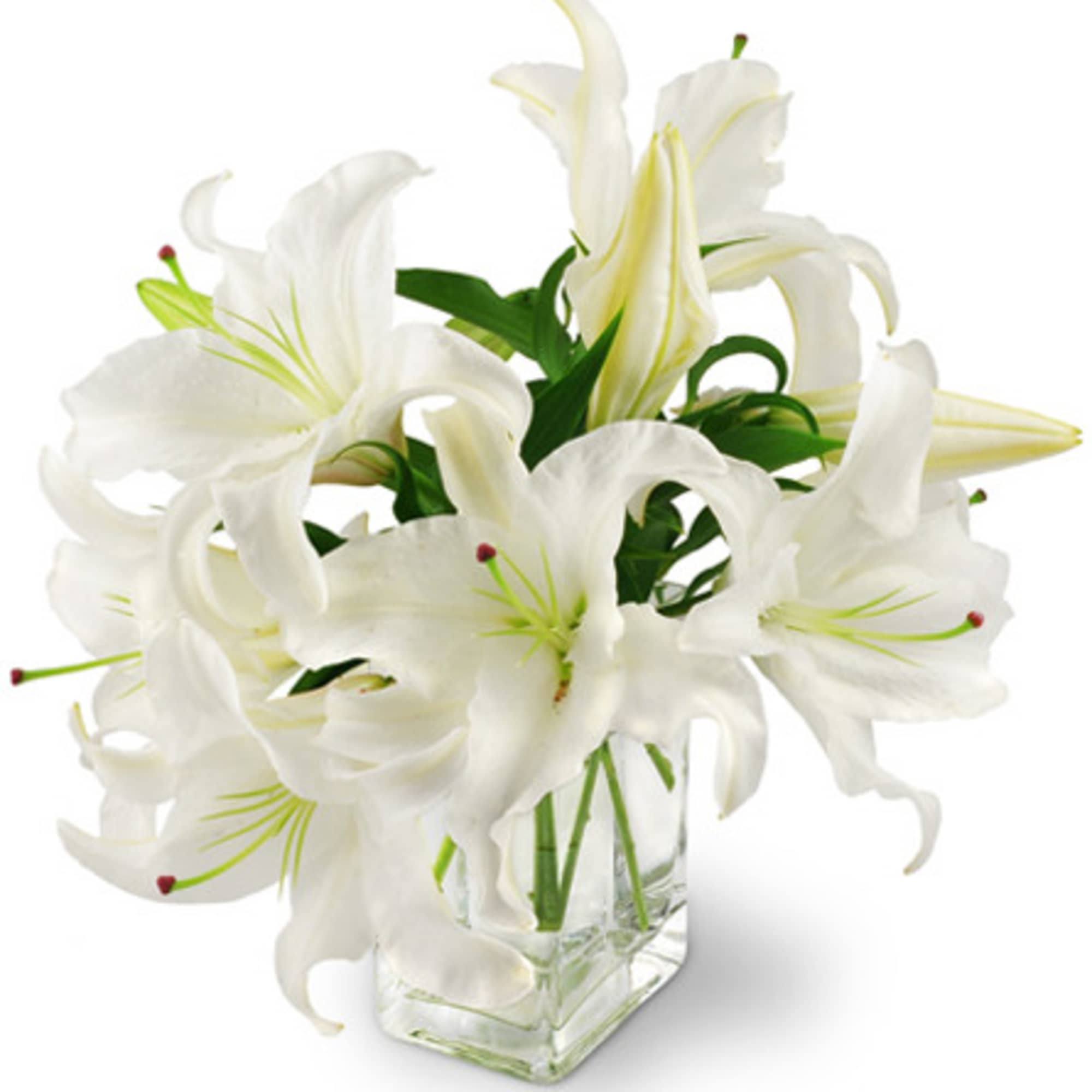 This dramatic design features Oriental lilies.
" Ooh-la-la!