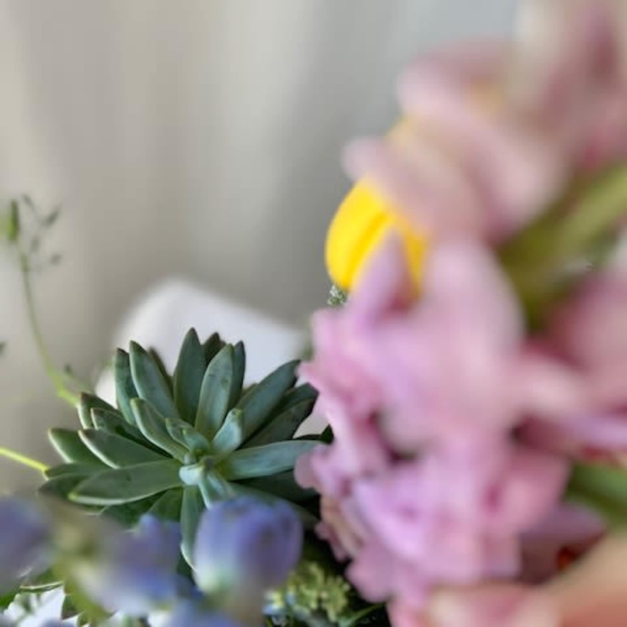 Blurred bouquet with pink and yellow flowers and a green succulent