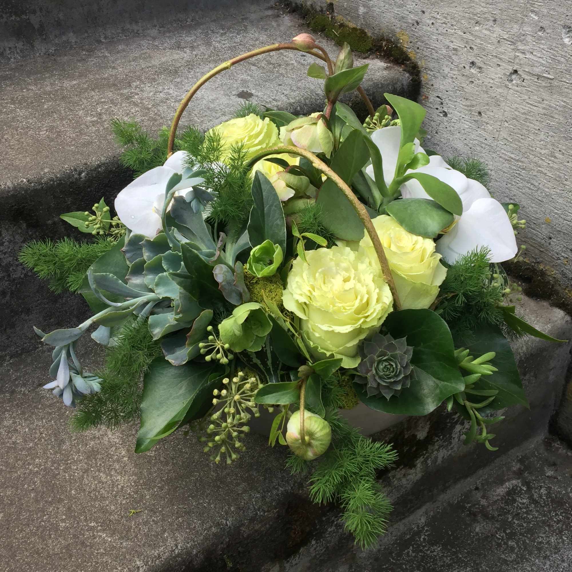 Basket arrangement with pale yellow roses, white calla lilies, and succulents