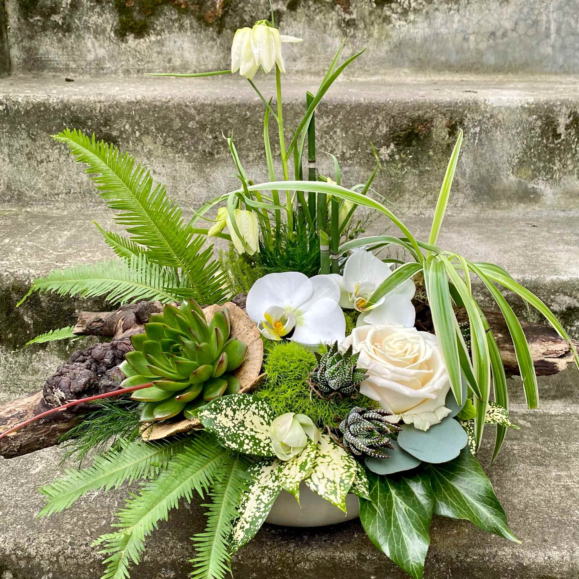 Our award-winning Texture Collection is a feast for the eyes, revealing another