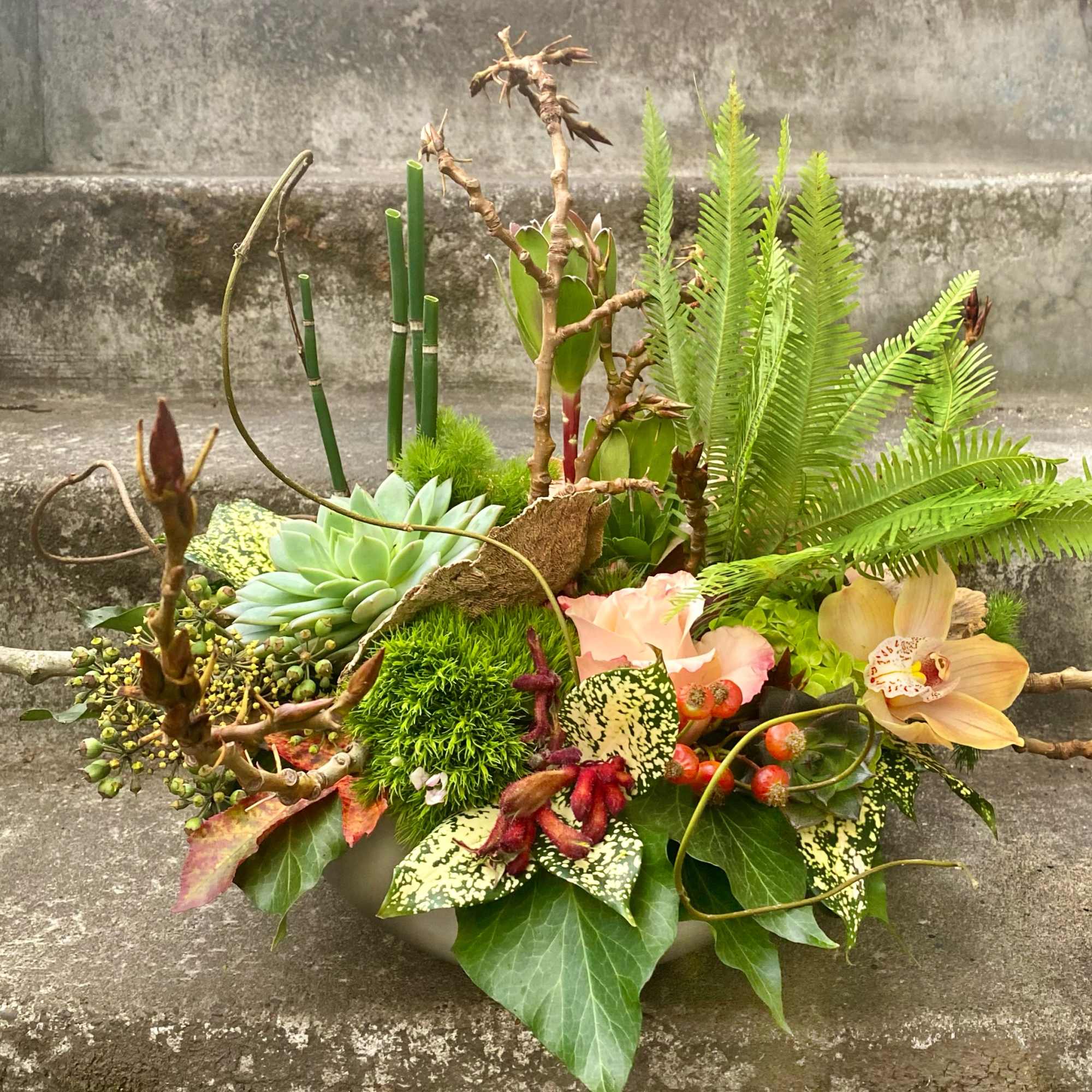 Tropical floral arrangement with succulents, orchids, and ferns in a low container
