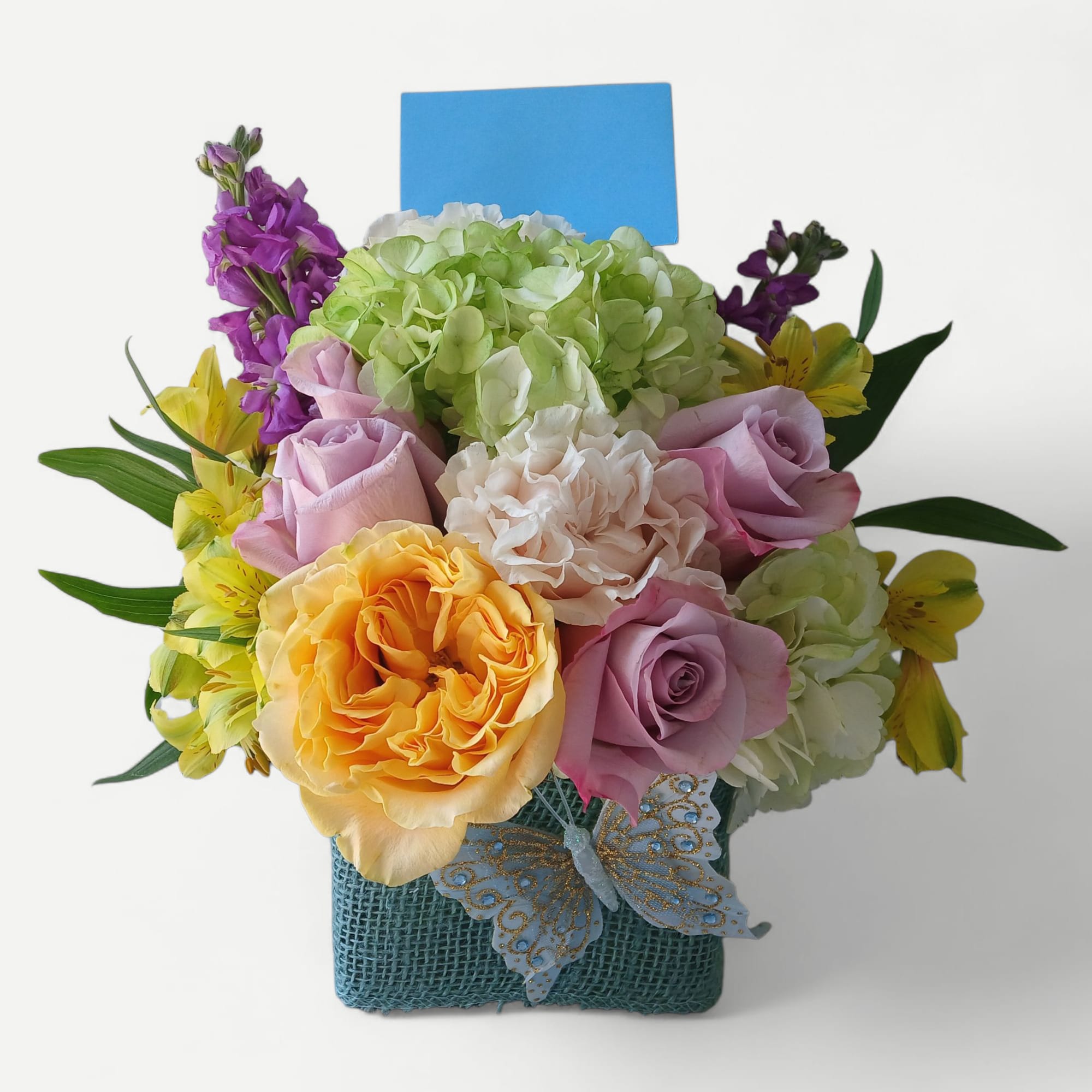 Send this beautiful sweet size lavender mint blossoms cutie today to make