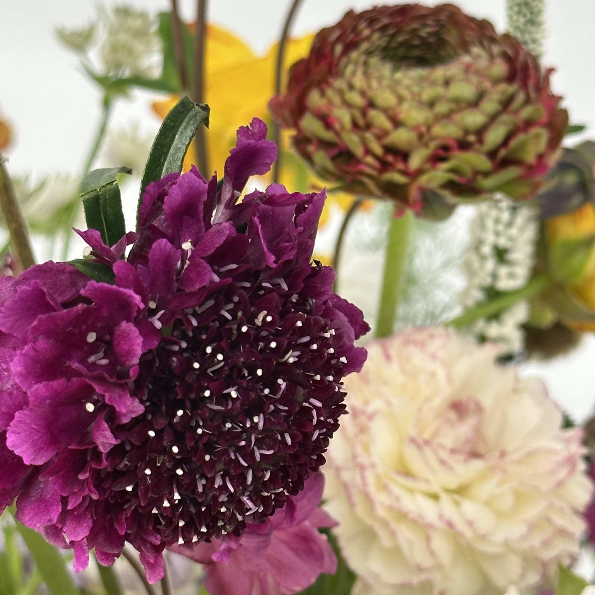 Close-up of purple and cream flowers in a mixed bouquet