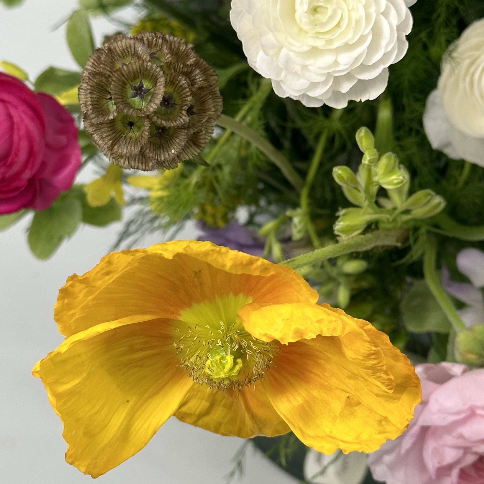 Close-up bouquet with a yellow poppy and white ranunculus