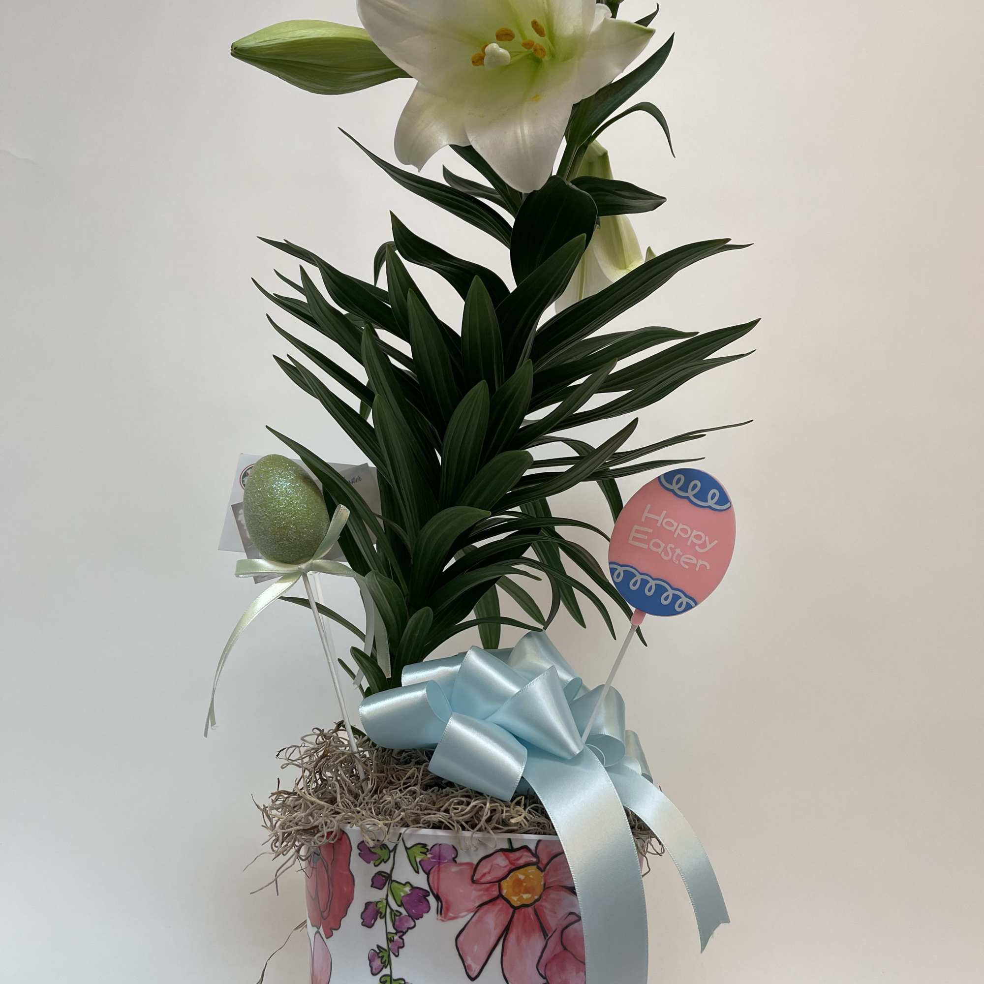 Decorated and in pot 6.5&rsquo; Easter Lily 