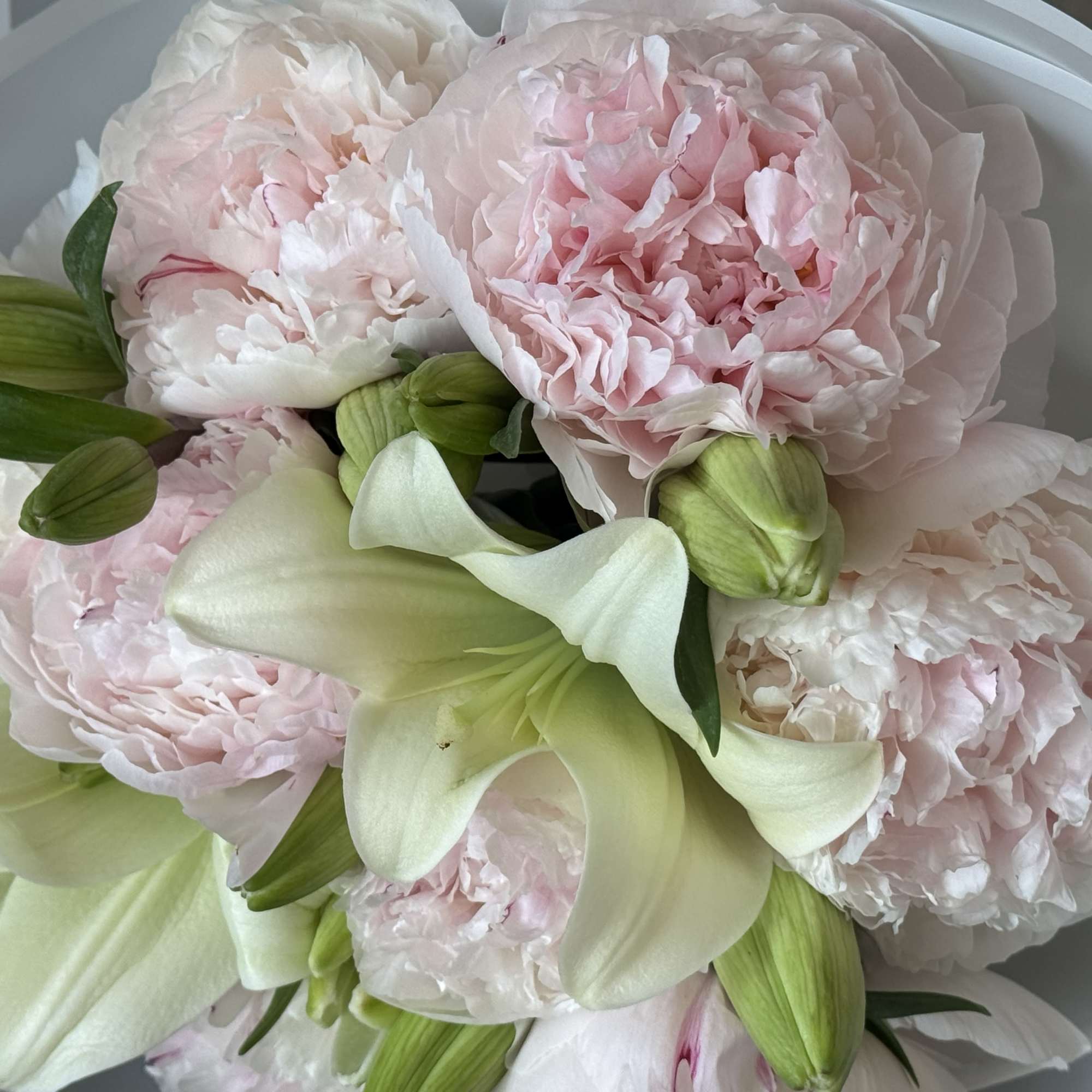 Fresh peony wrapped bouquet. Can be mixed with other textures and greens.