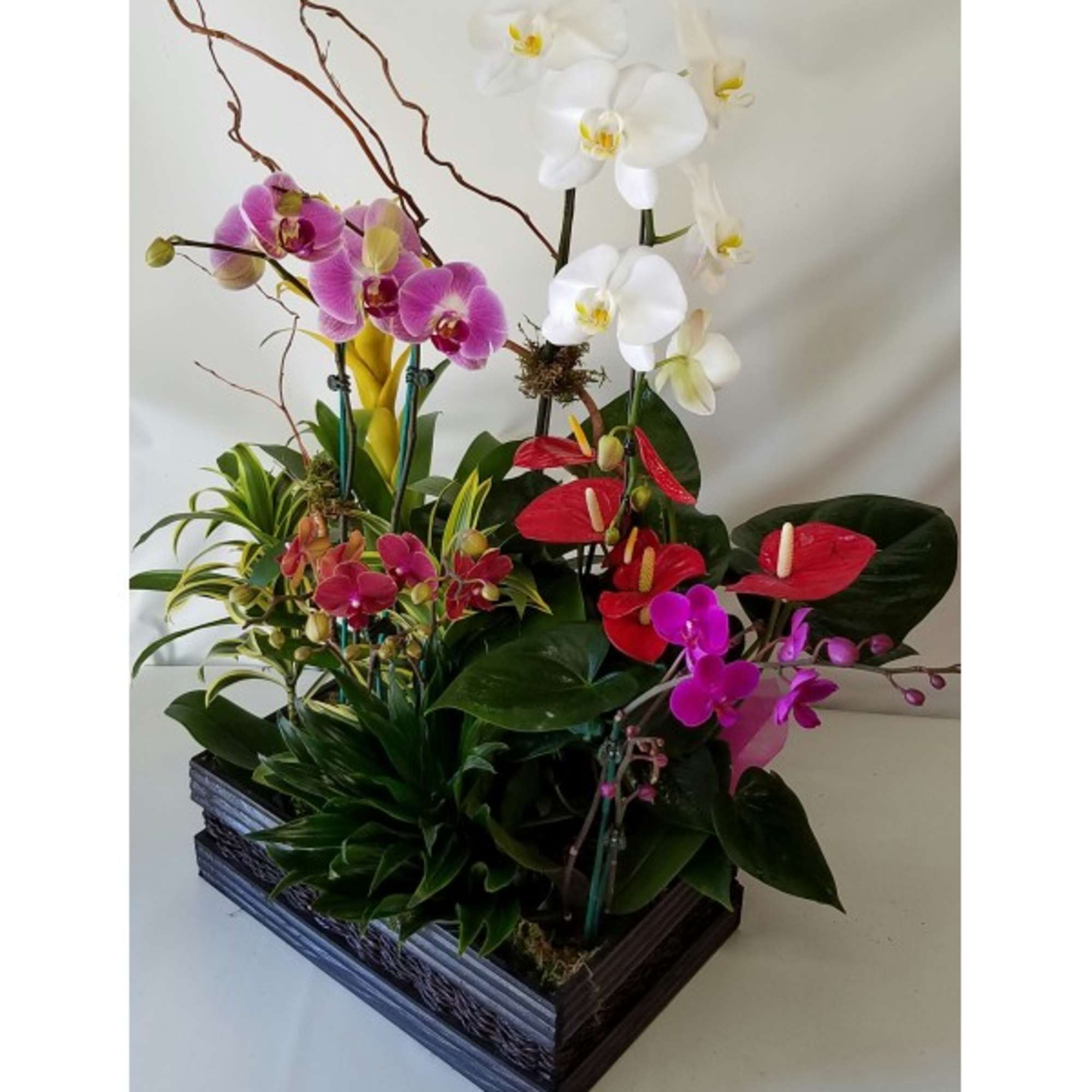  Product ID sku154448

Approximately 27"x25"