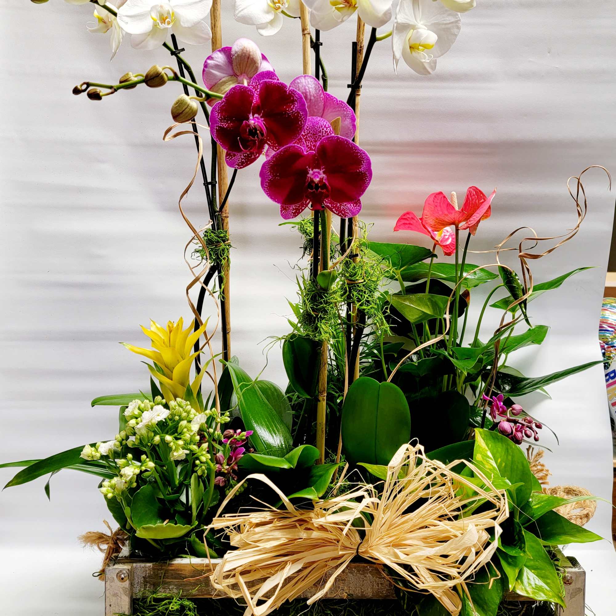  Product ID sku154448

Approximately 27"x25"