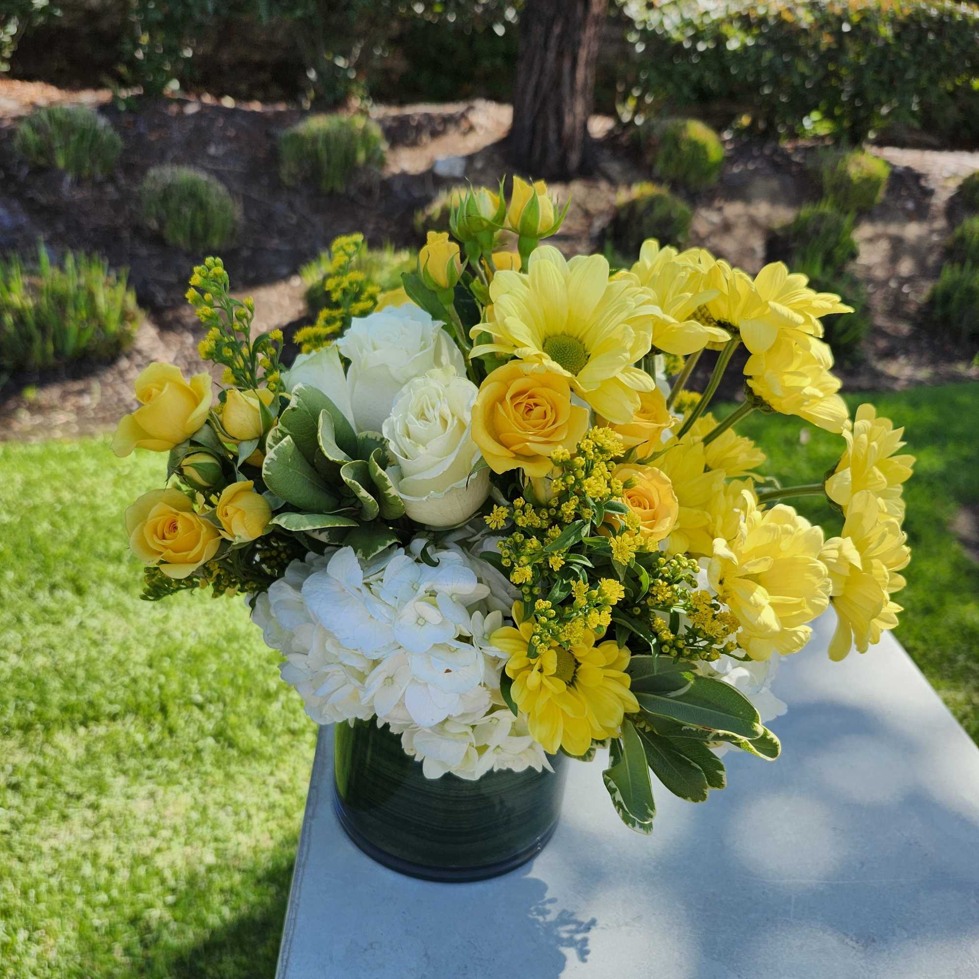 This white and yellow arrangement includes cream roses, button mums, and ranunculuses.