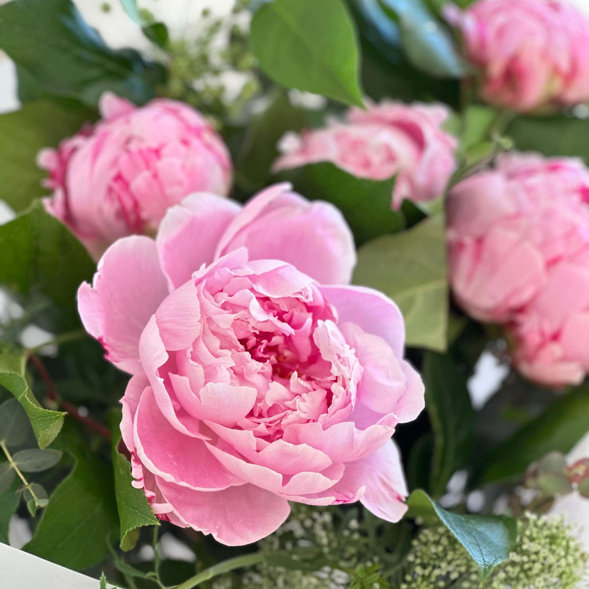 A round bouquet of peonies with plenty of greenery and fillers, wrapped