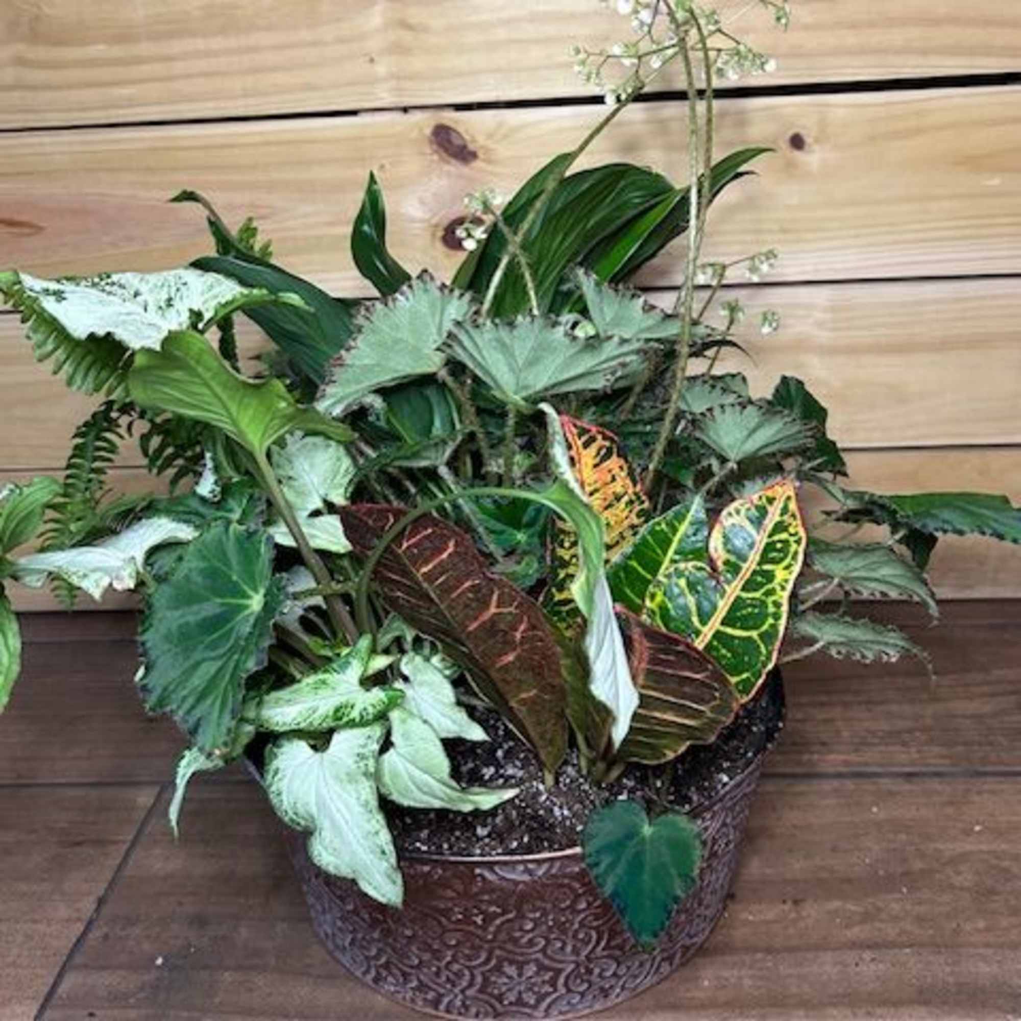 A variety of green and flowering plants in a planter for indoor