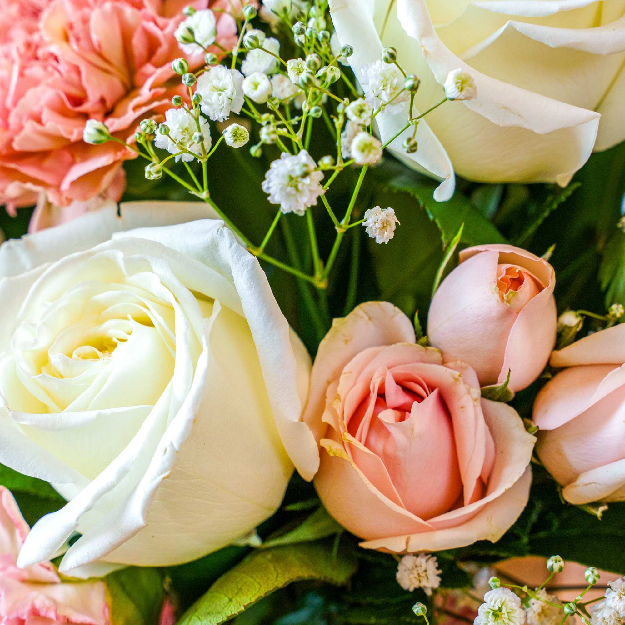 This charming teacup of roses, carnations, and baby's breath is sure to