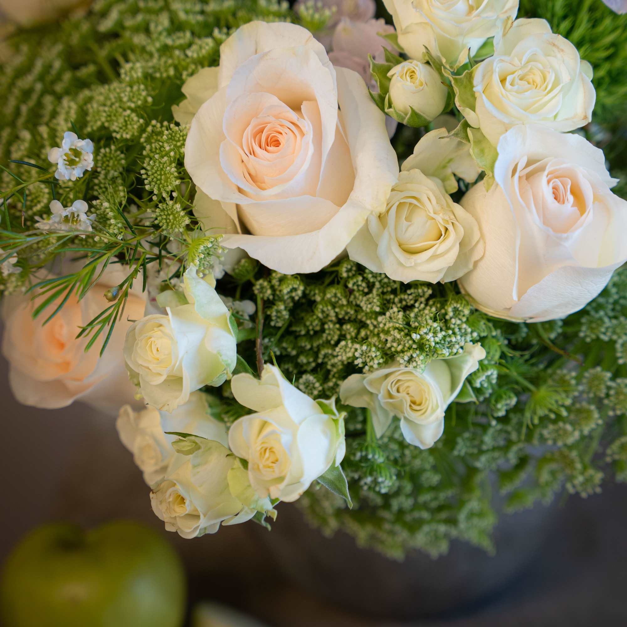 Soft, luminous, and effortlessly elegant, Brillante features layers of creamy garden roses