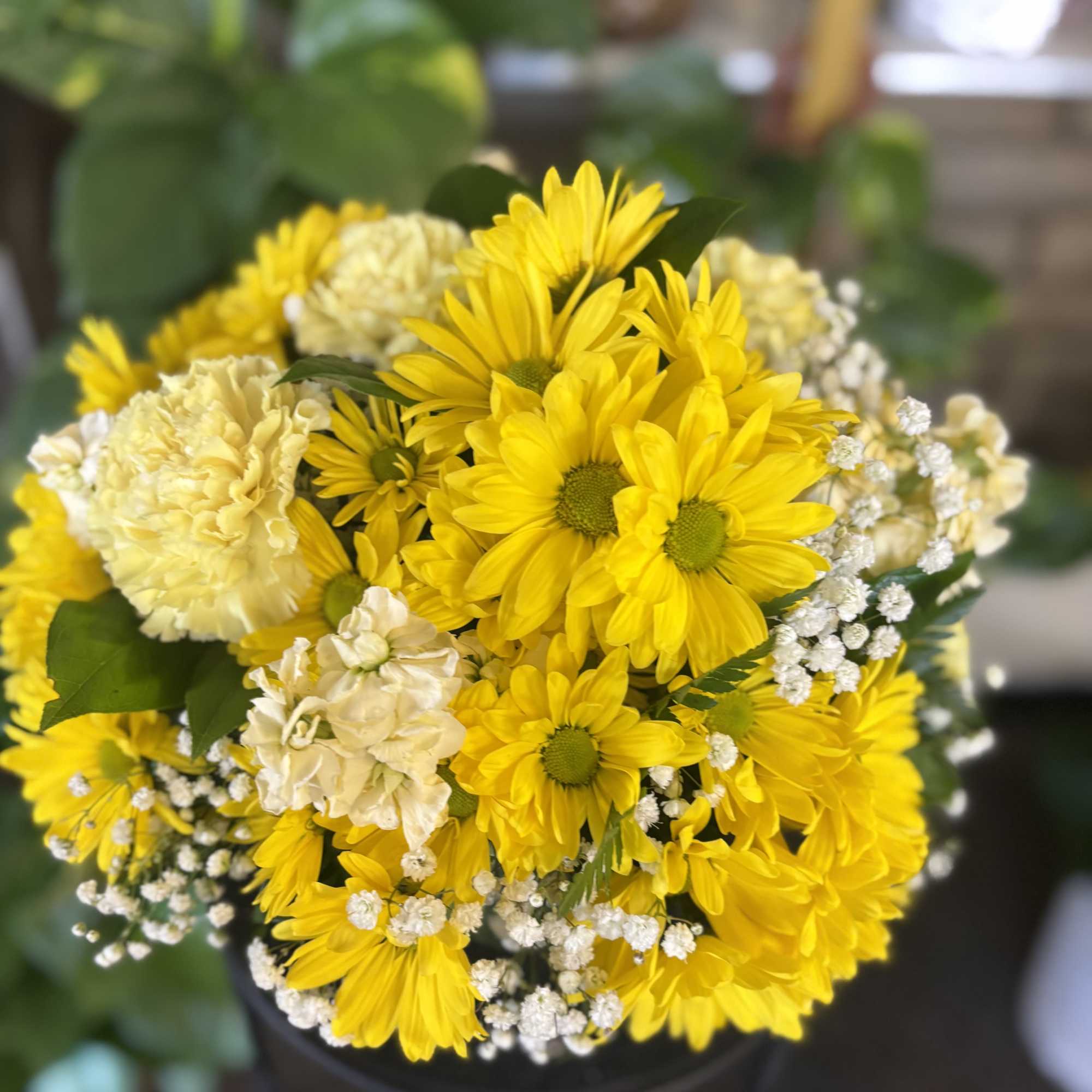 Fresh floral in bowl 