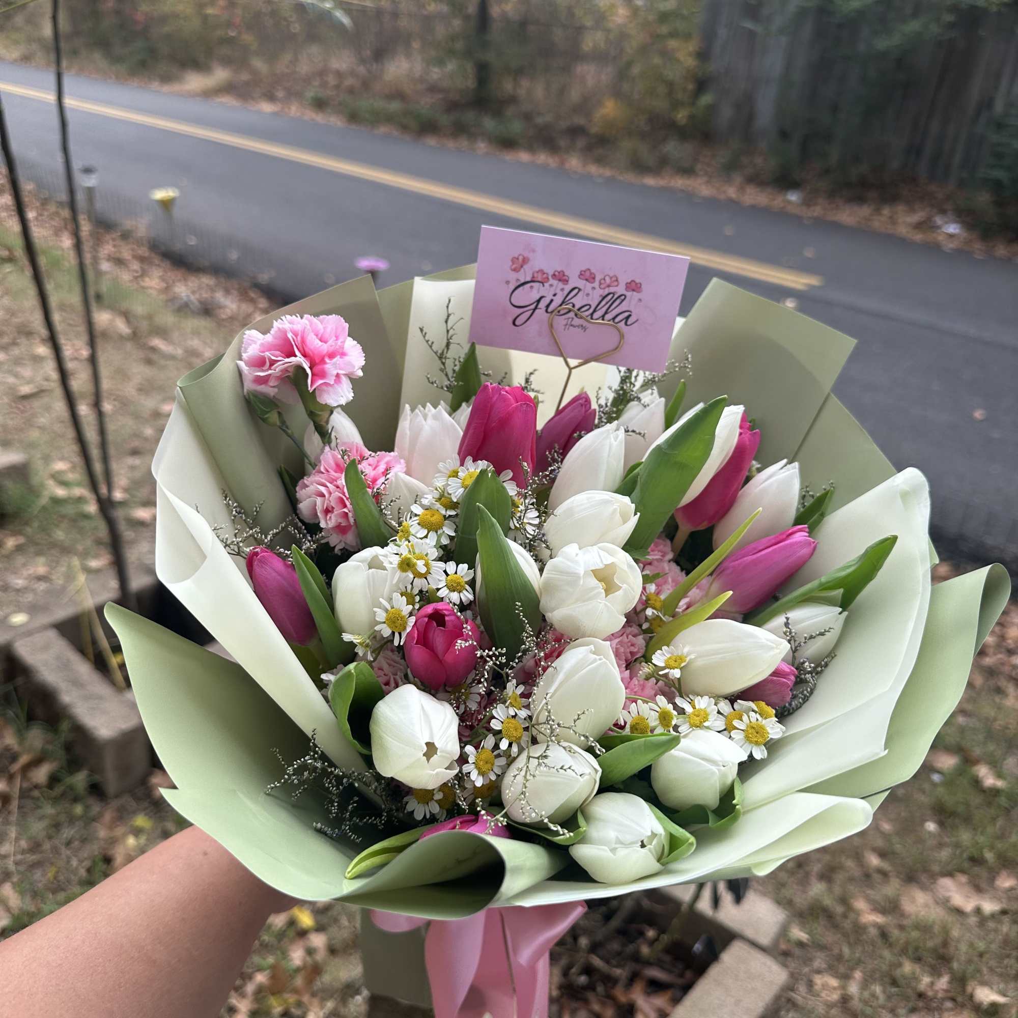 Tulips in a base of garden; greens and filler 