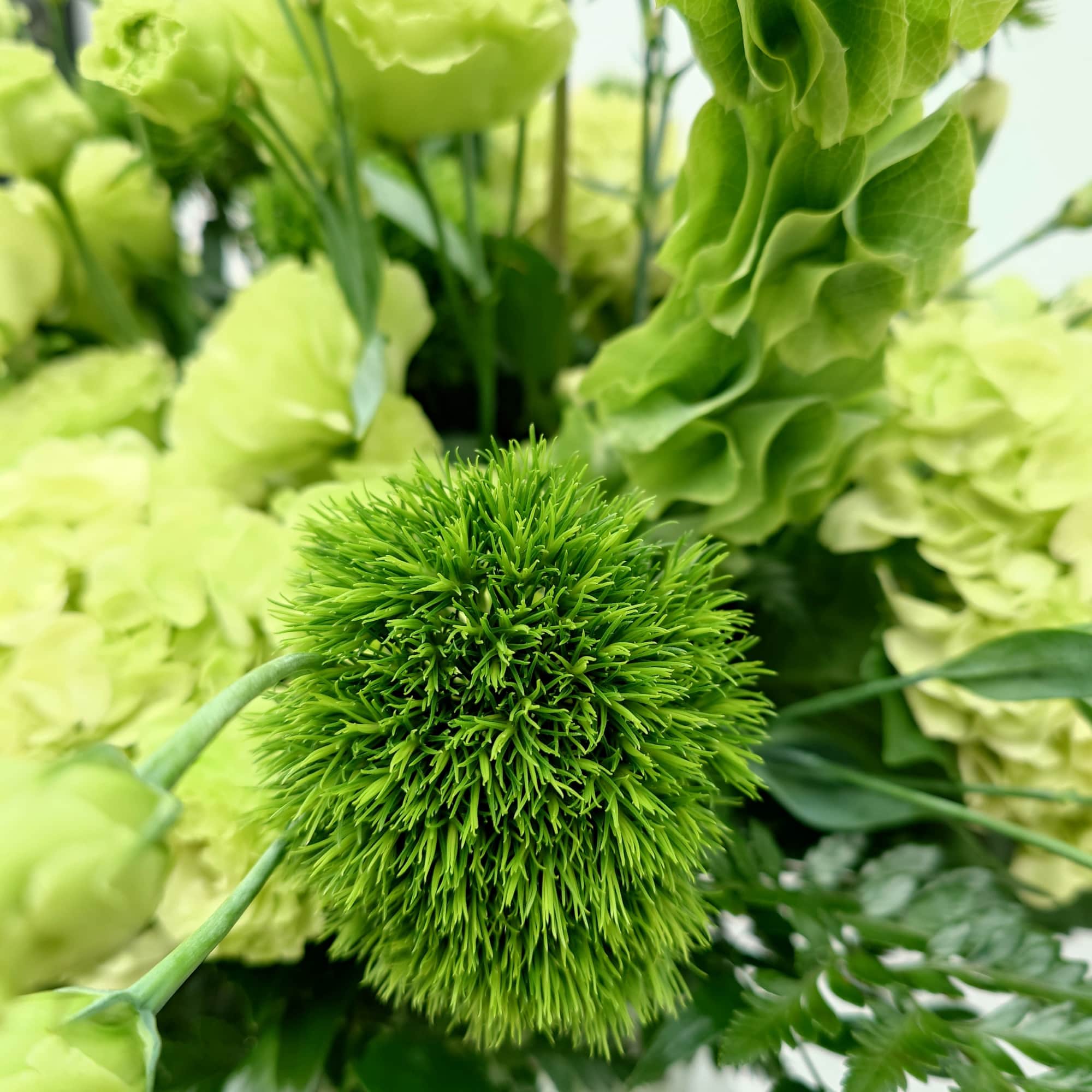 Lush, fresh, monochrome with premium blooms in shades of green.
