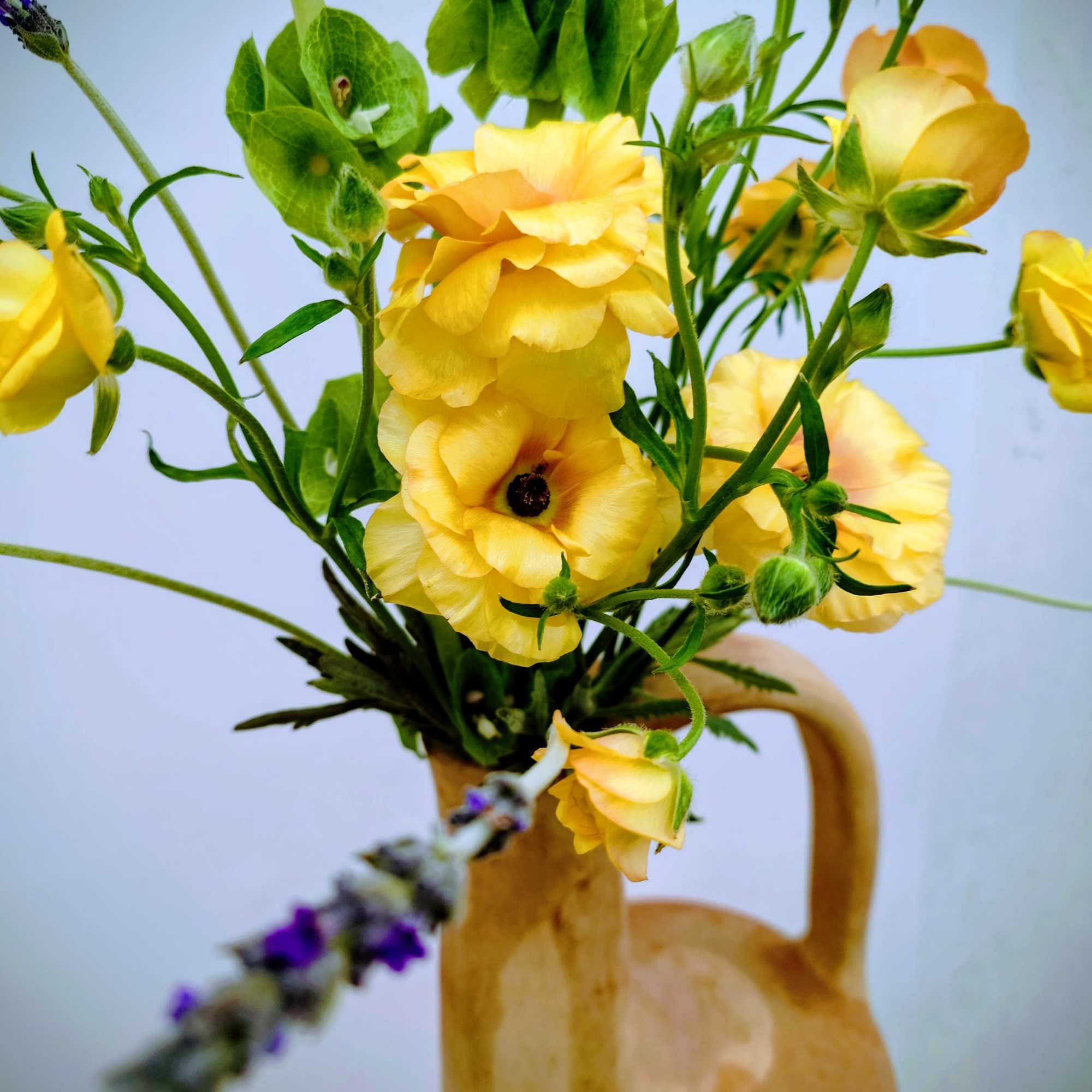 A sculptural floral arrangement designed in a tall, long-necked clay pitcher, Juno