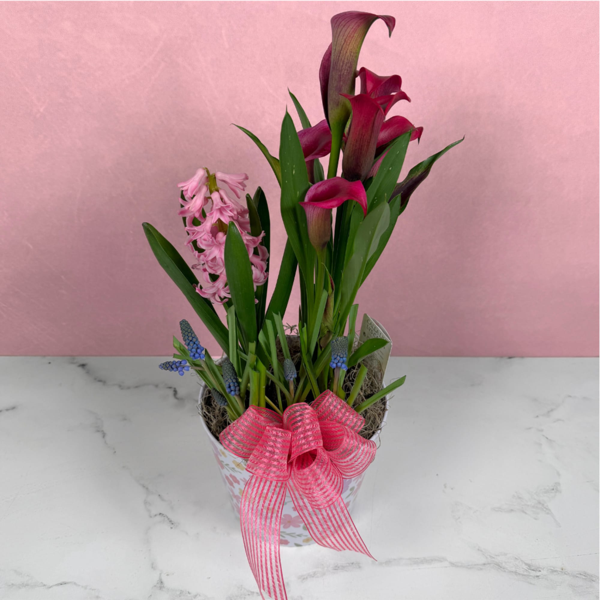 The Springtime Serenade Dish Garden by Savilles Florist is a super cute