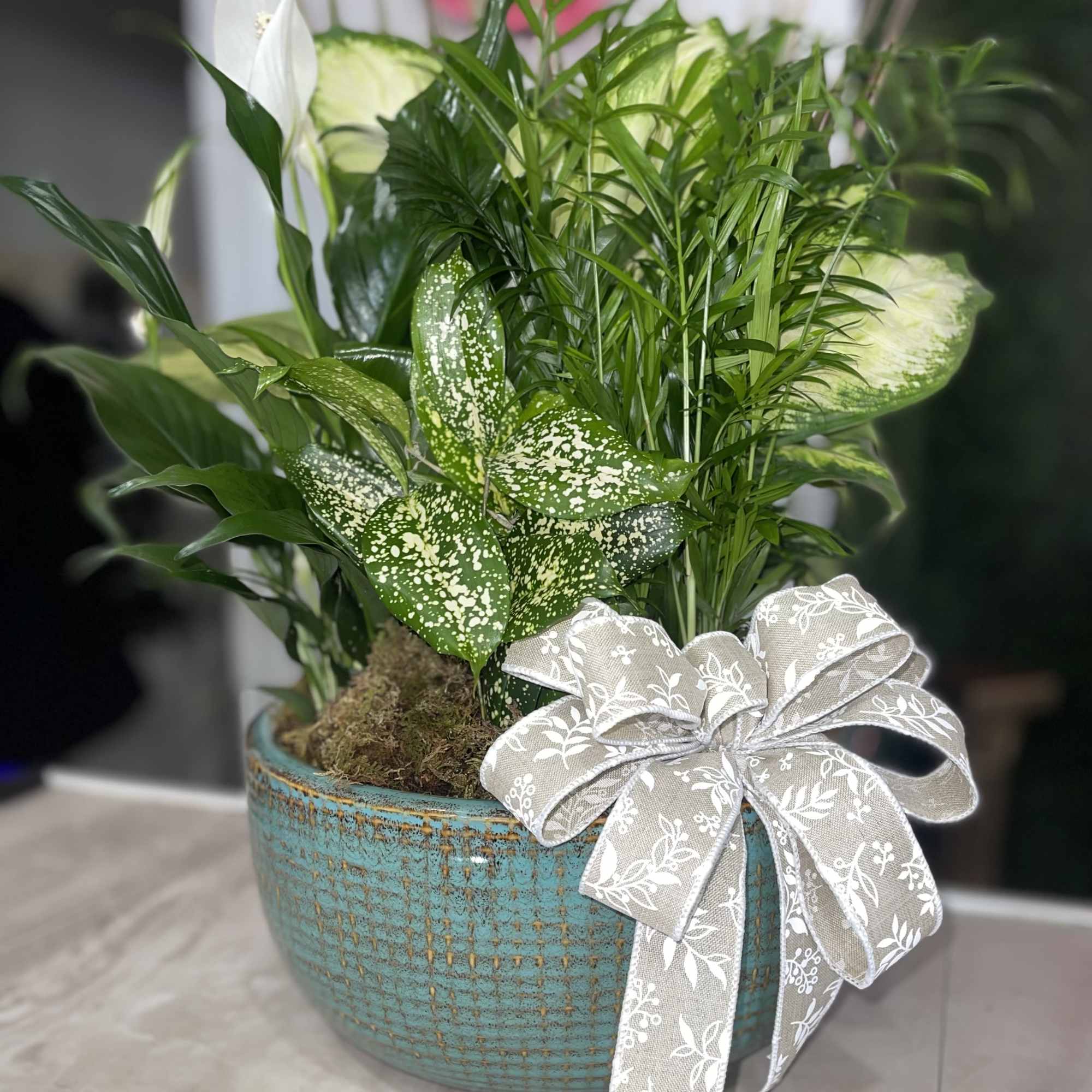 Who says you need to go outside to enjoy the natural beauty